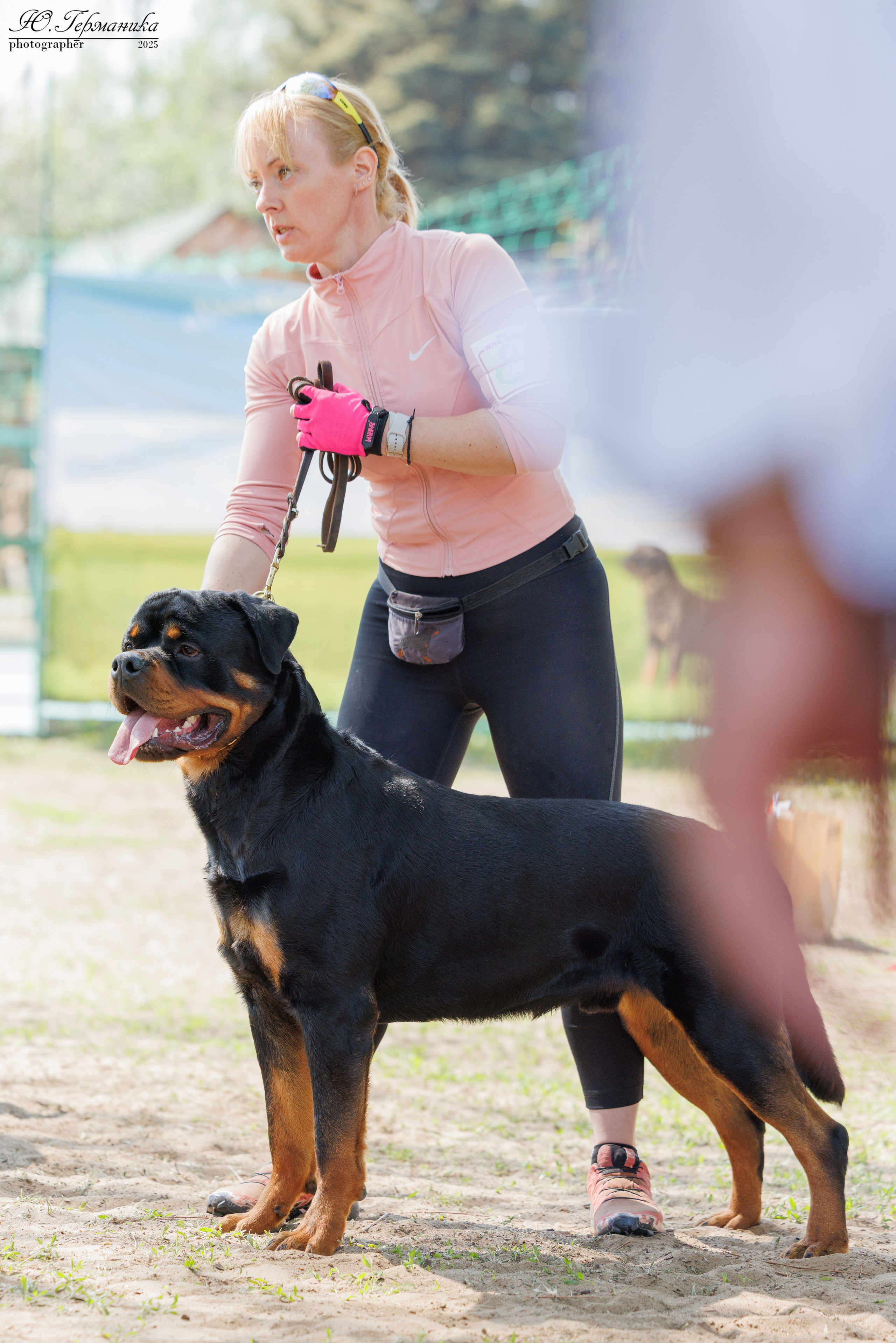 Саратов моно ротвейлеров 26-27.04.2025. Фотограф-анималист Юлия Германика