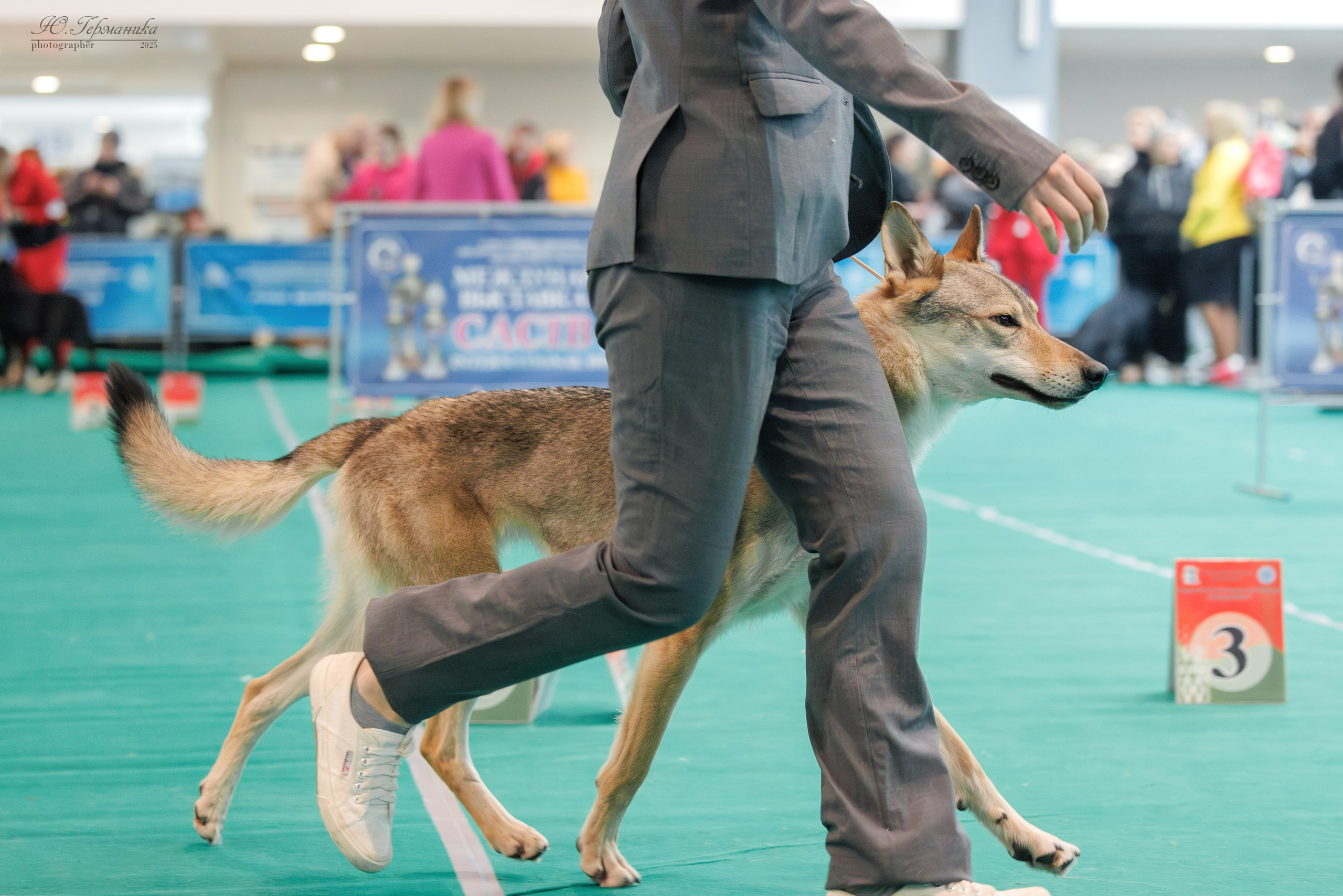 Минск 1-2.03.2025. Фотограф-анималист Юлия Германика