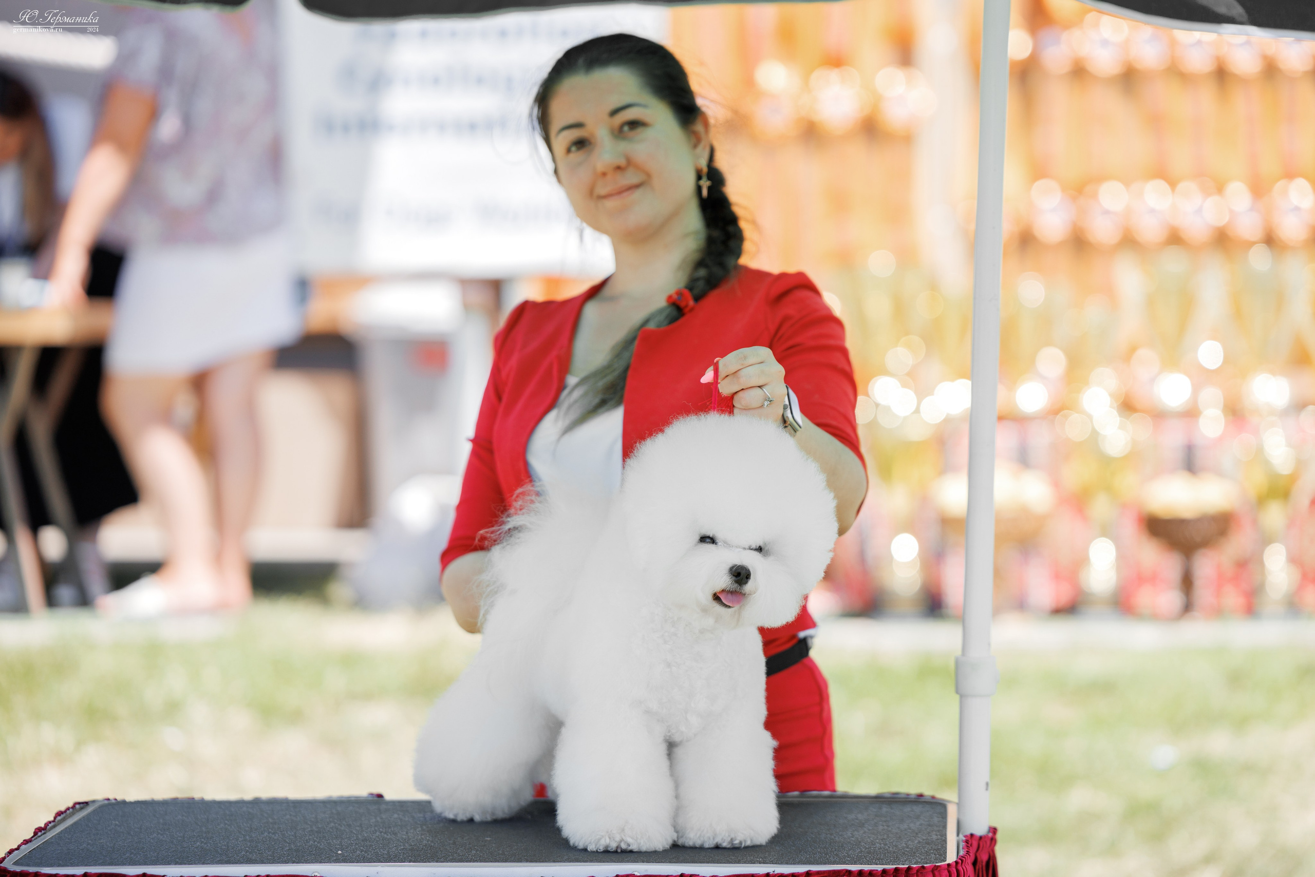 Ереван 3-5.06.2024. Фотограф-анималист Юлия Германика