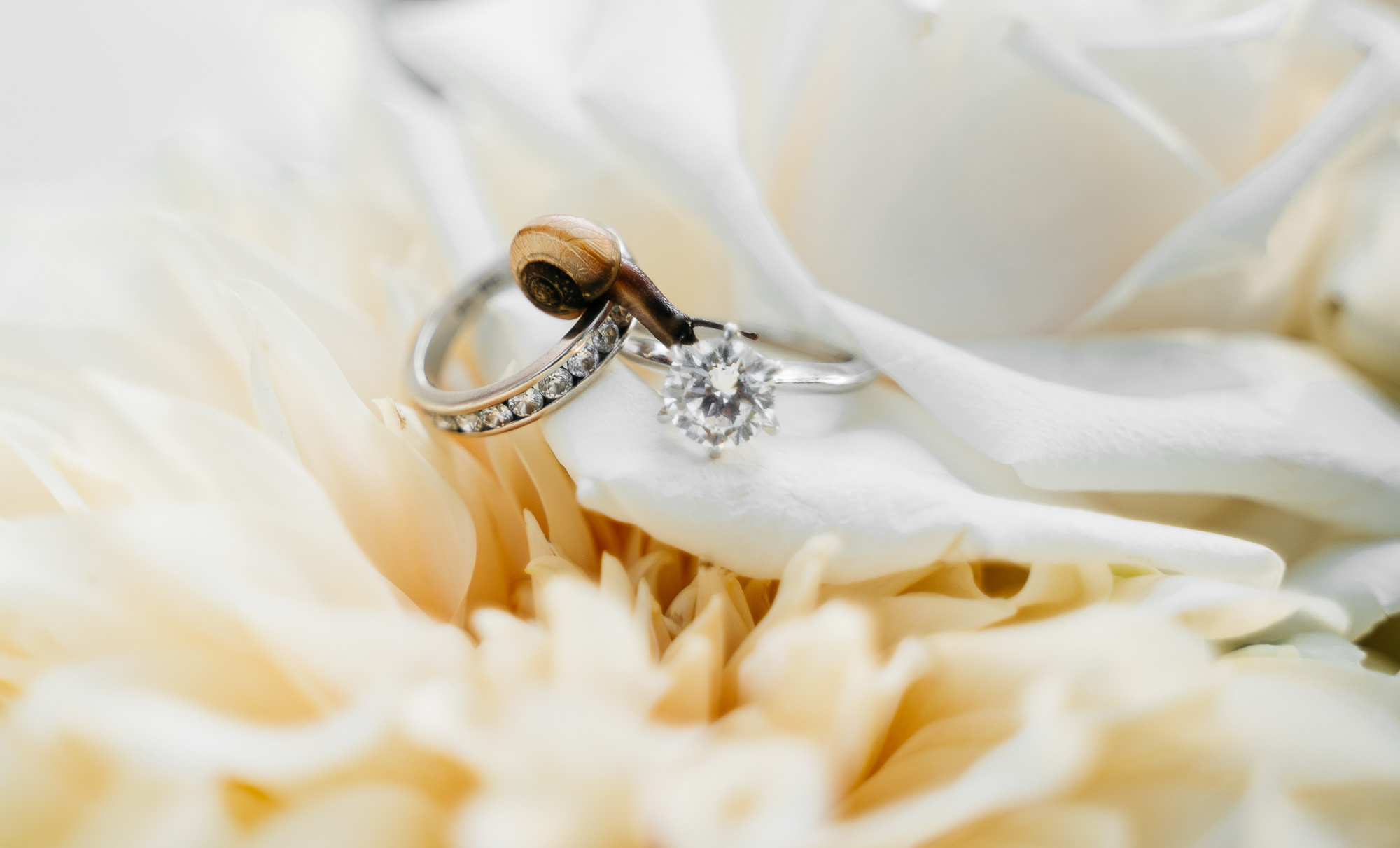 Фотограф Олег Иванов Псков ivamedia. Олег и Мария Ивановы фотограф и видеограф в Пскове Санкт - Петербурге