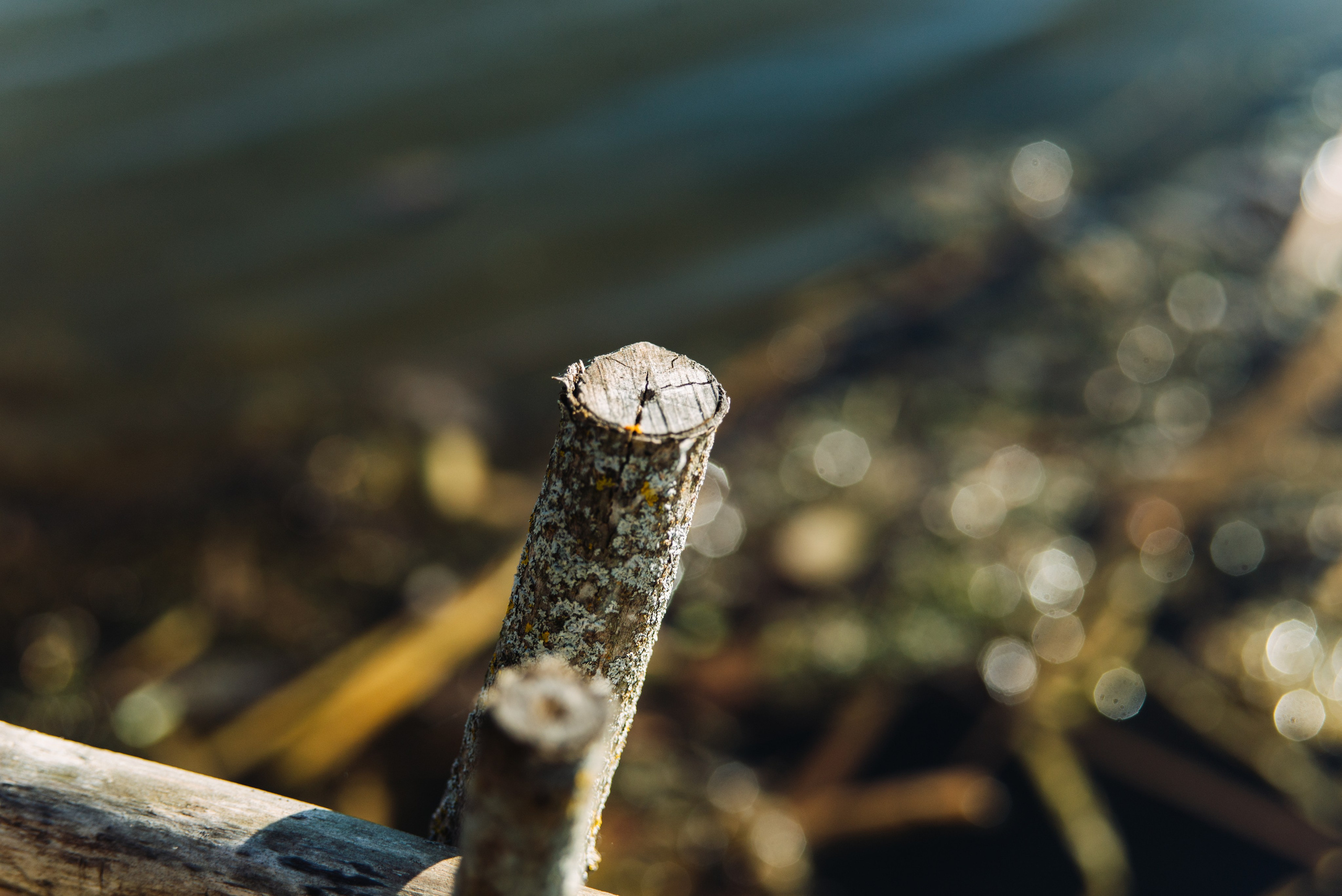 Орановка. Репортажный и портретный фотограф в Липецкой, Воронежской, Московской области Тёма Белоусов