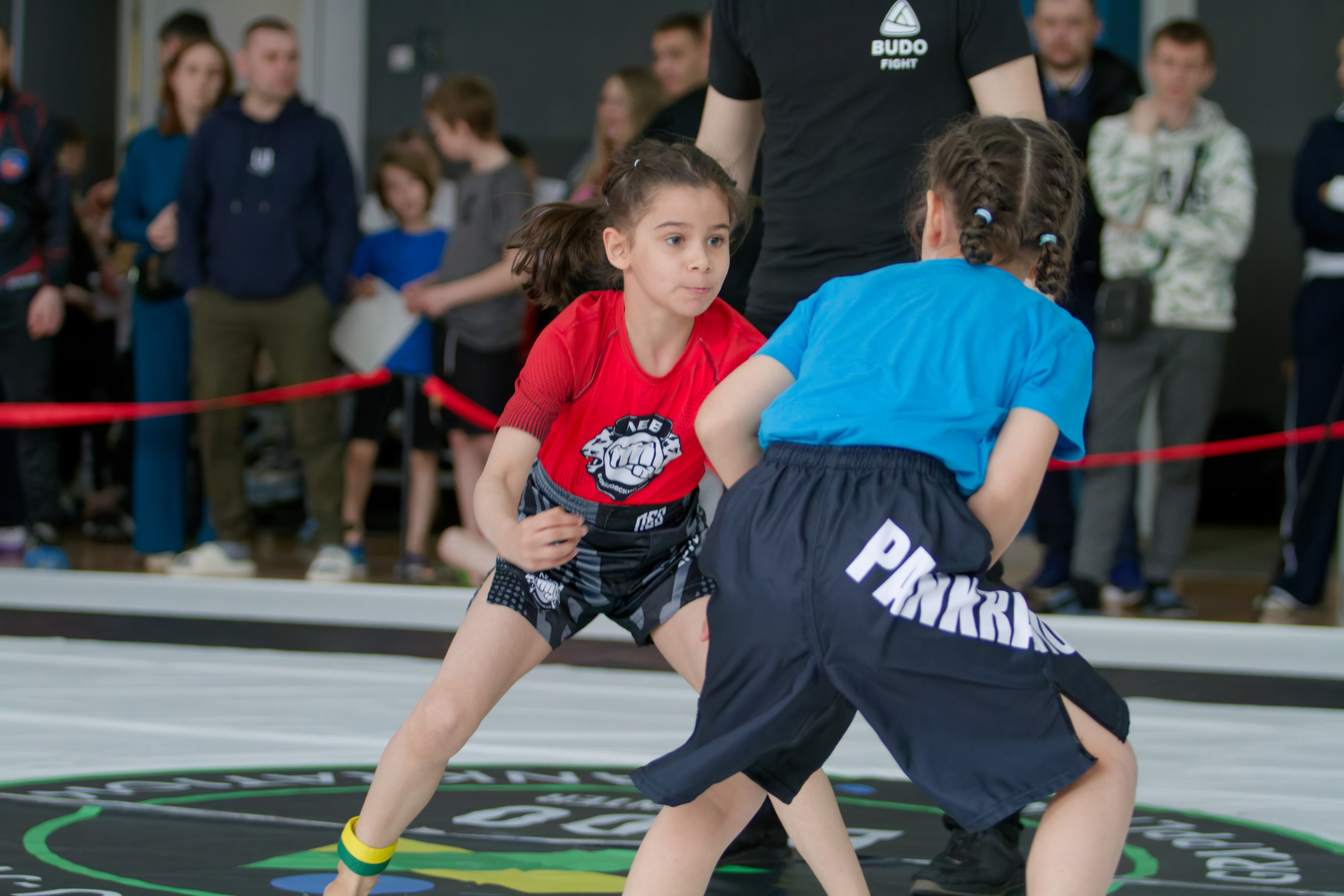 Борьба. Джиу-джитсу 26.04.2025. Репортажный и спортивный фотограф в г. Пермь Зильберг Павел