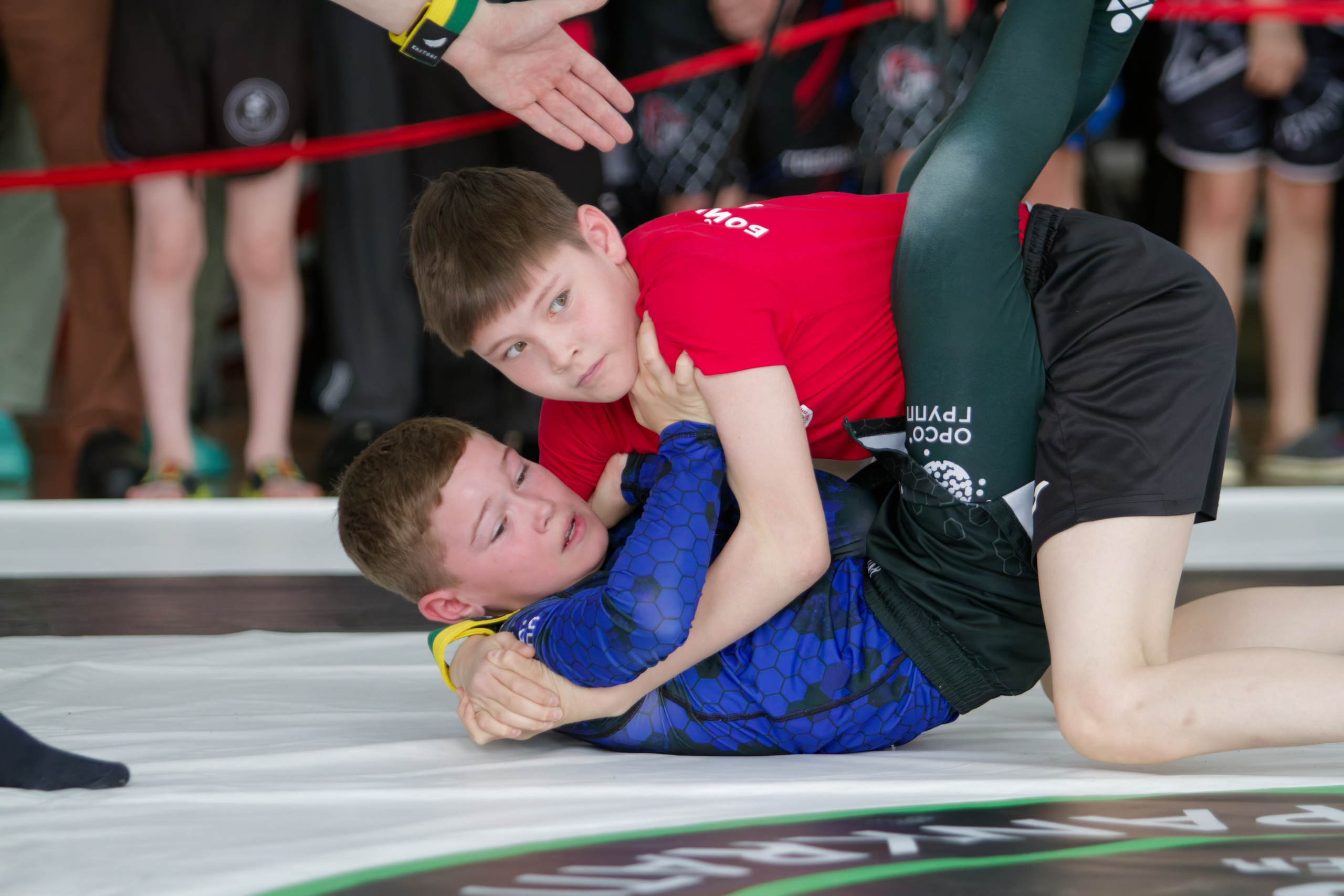 Борьба. Джиу-джитсу 26.04.2025. Репортажный и спортивный фотограф в г. Пермь Зильберг Павел