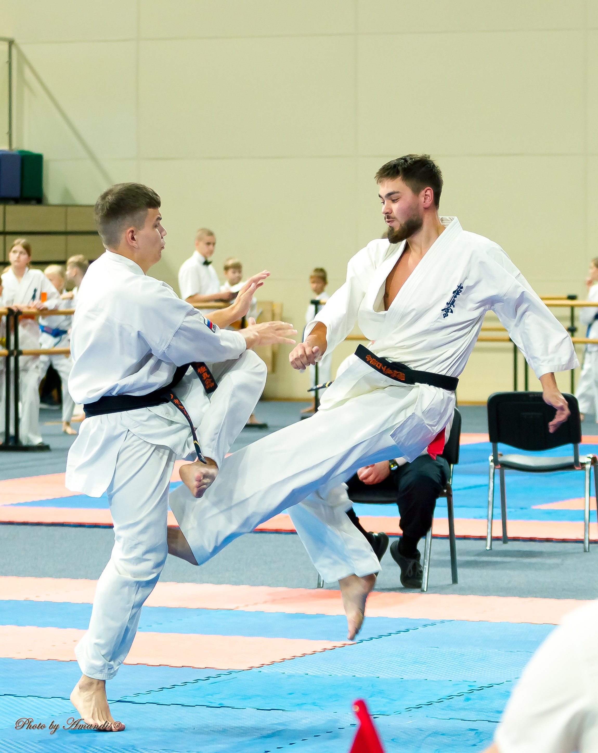 Первенство Московской области по Киокушин в СК «Жаворонки». Репортажная съемка в Москве и области. Анималистика