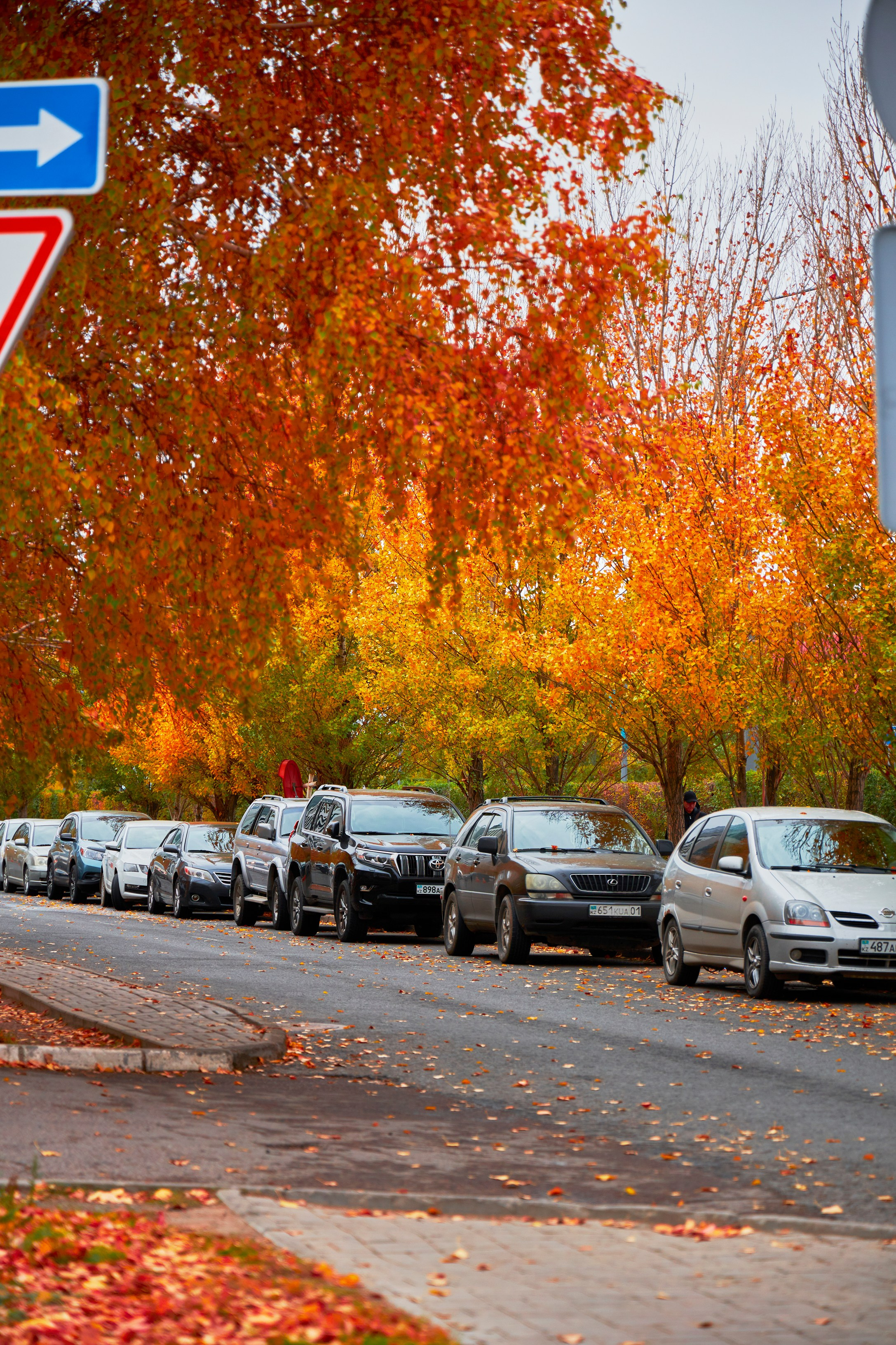 фотограф астана, услуги фотографа, профессиональный фотограф, репортажная съемка, зал бокса, бокс, астана, фотограф астана, услуги фотографа, профессиональный фотограф, репортажная съемка, портретная фотосъемка, баскетбол, астана, студийная фотосессия, фотосессия астана, детский фотограф, фотограф на день рождения, фотограф астана, услуги фотографа, профессиональный фотограф, репортажная съемка, портретная фотосъемка, баскетбол, астана, студийная фотосессия, фотосессия астана, детский фотограф, фотограф на день рождения, фотограф на праздник, выездная фотостудия, фотограф алматы, фотоуслуги, лучший фотограф Астаны, Астана, Алматы, футбол, бокс, бокс Казахстан, организация мероприятий, ивент услуги, фотограф, matchday.kz, chingizqagan, национальная лига, НФБ РК, Лига ВТБ, 3х3, ФК Астана, БК Астана, qjleague, qj лига