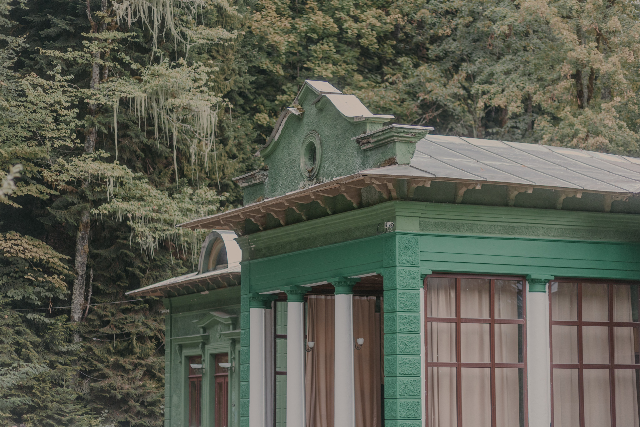 Рица. Фотограф Мальнева Юлия в Липецке, в Москве. Фотостудия MARU в Липецке