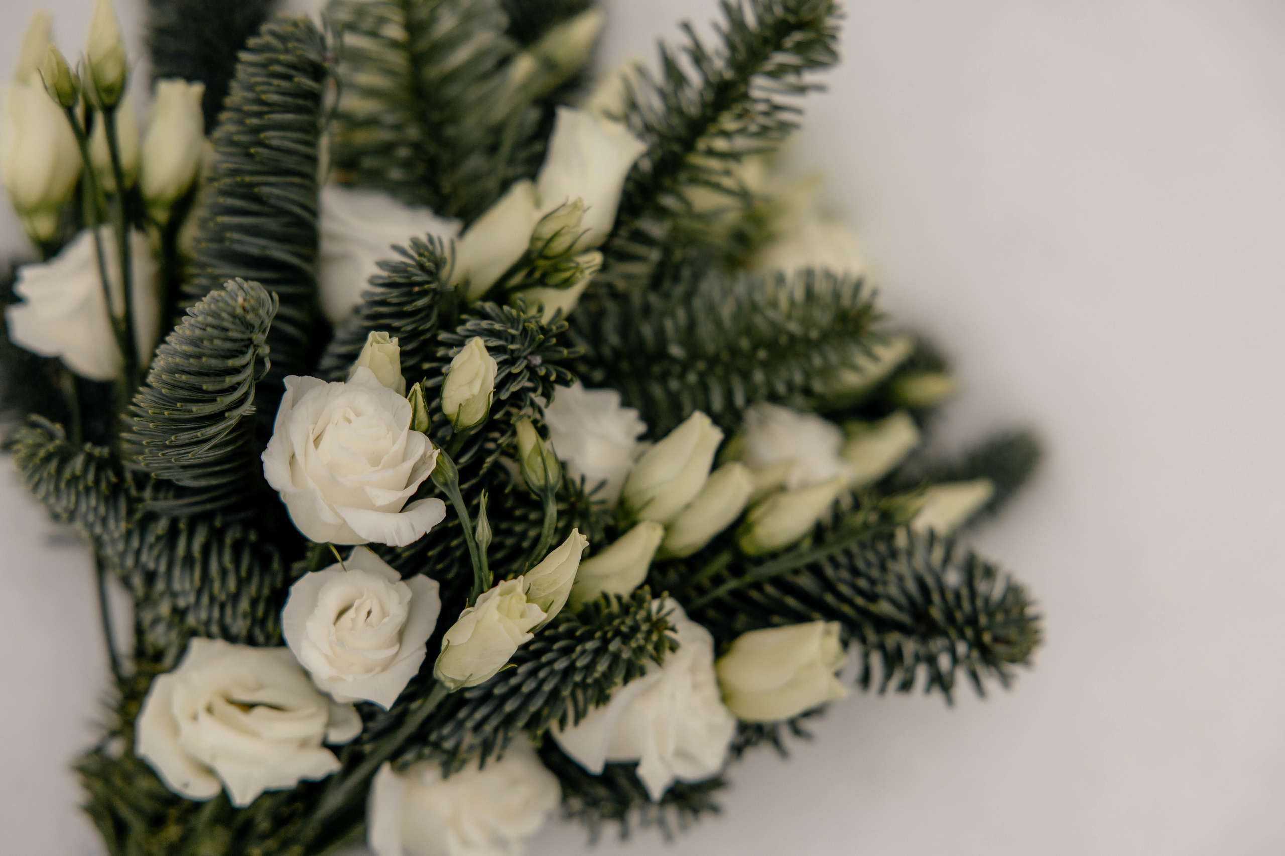 Дмитрий&Надежда. Фотограф Арина Елизарова