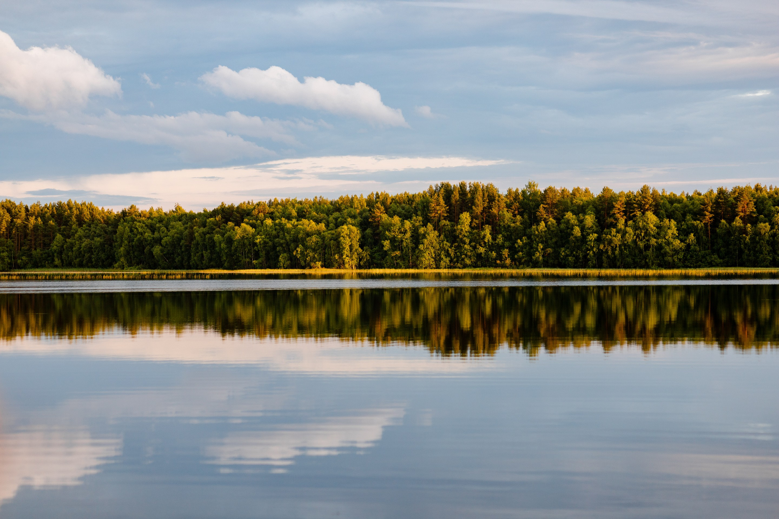 Глэмпинг LampiCamp (Карелия). Павел Шарапов | Фотограф | Москва