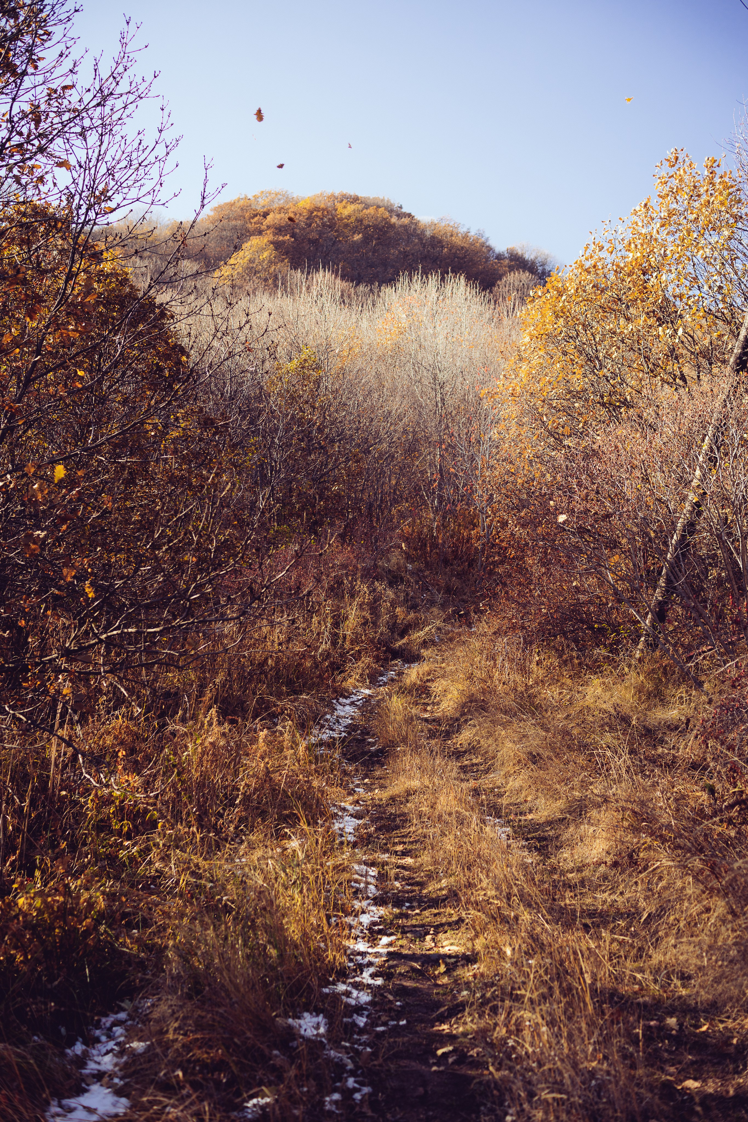 Landscapes. Oleg Kozachok — Photographer with Protanopia | Portraits, Texture & Light