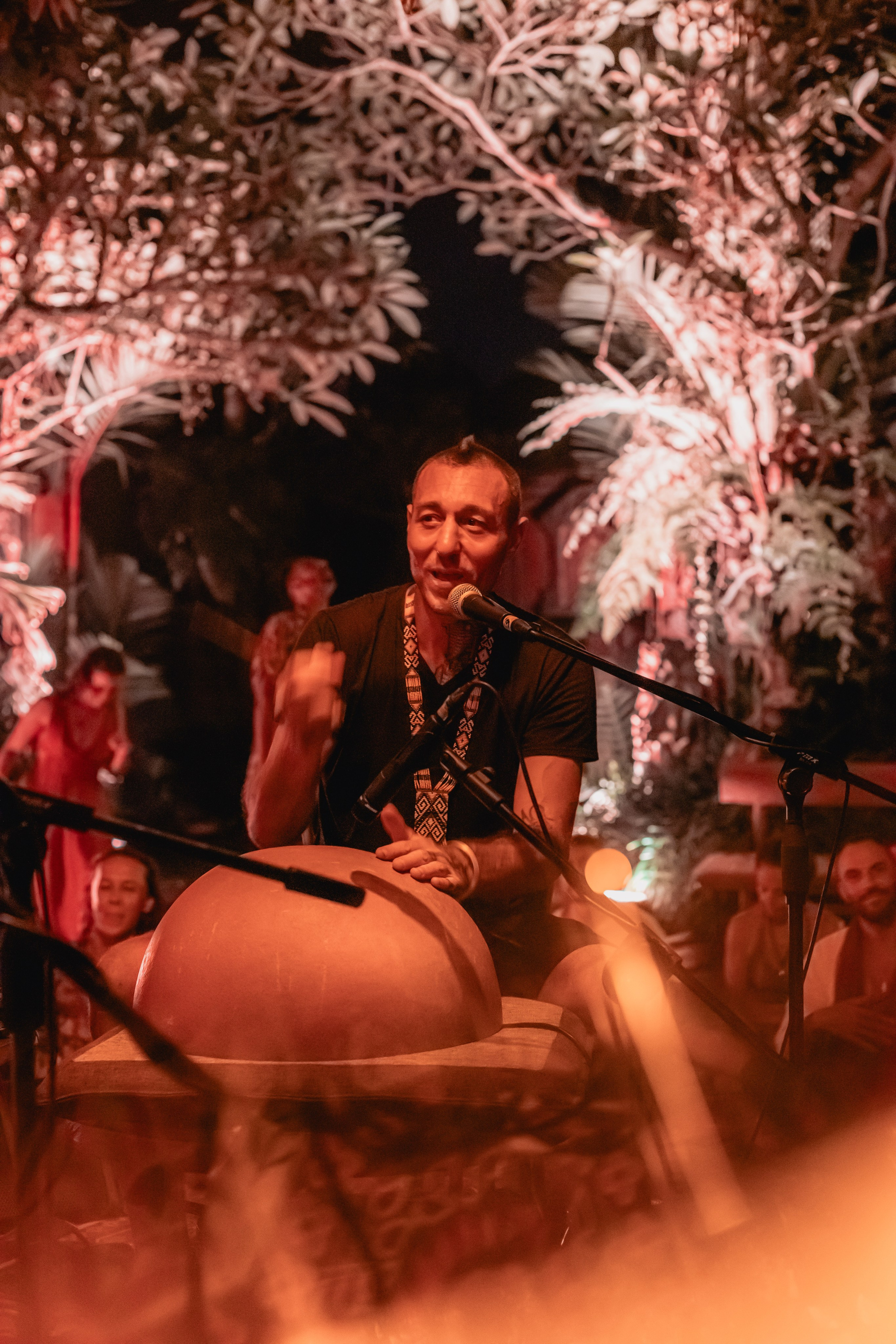 Alegria festival at Zest. Мариам Багдасарян