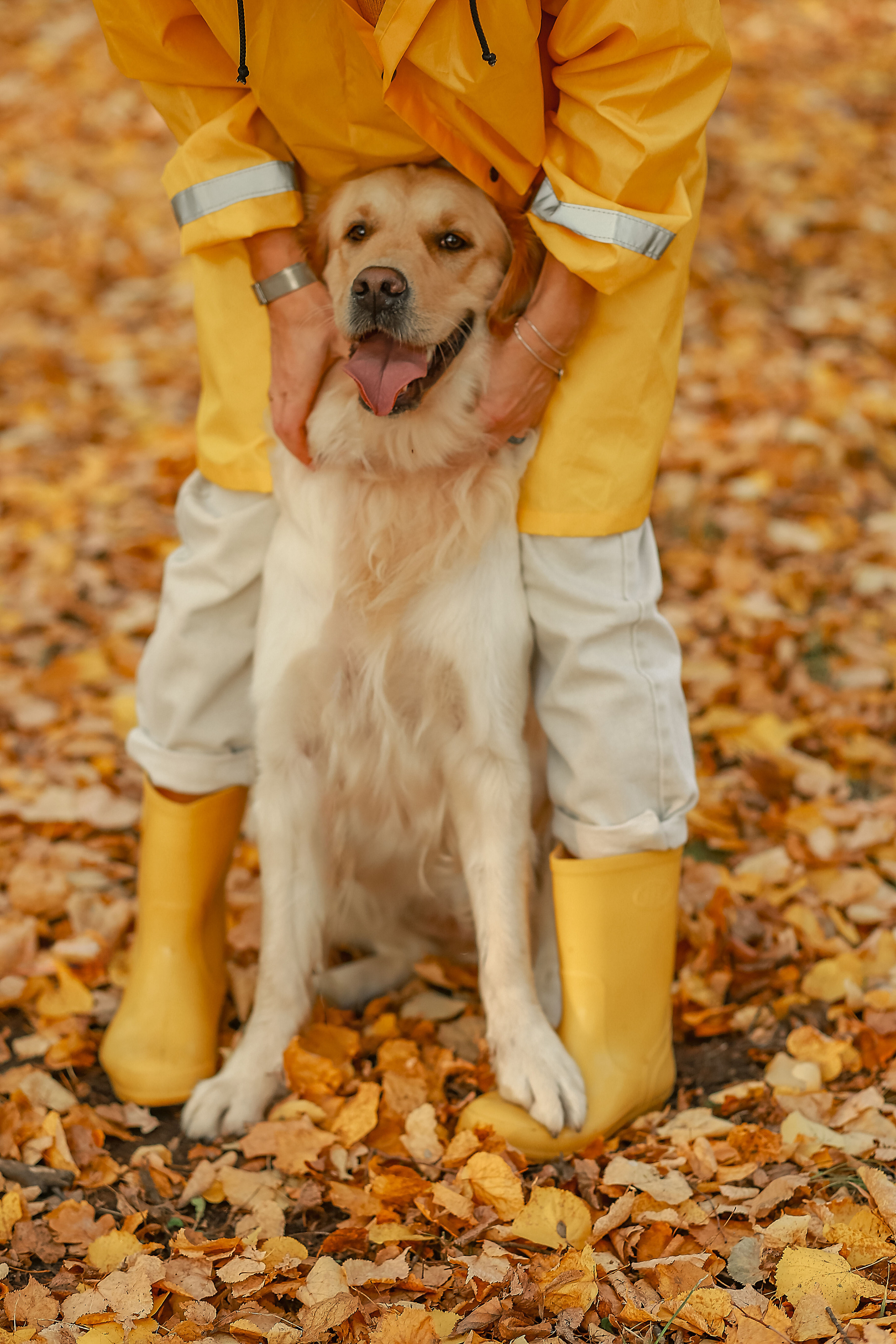 Фотосессия осенью. Иванова Ирина Свадебный и семейный фотограф г. Уфа