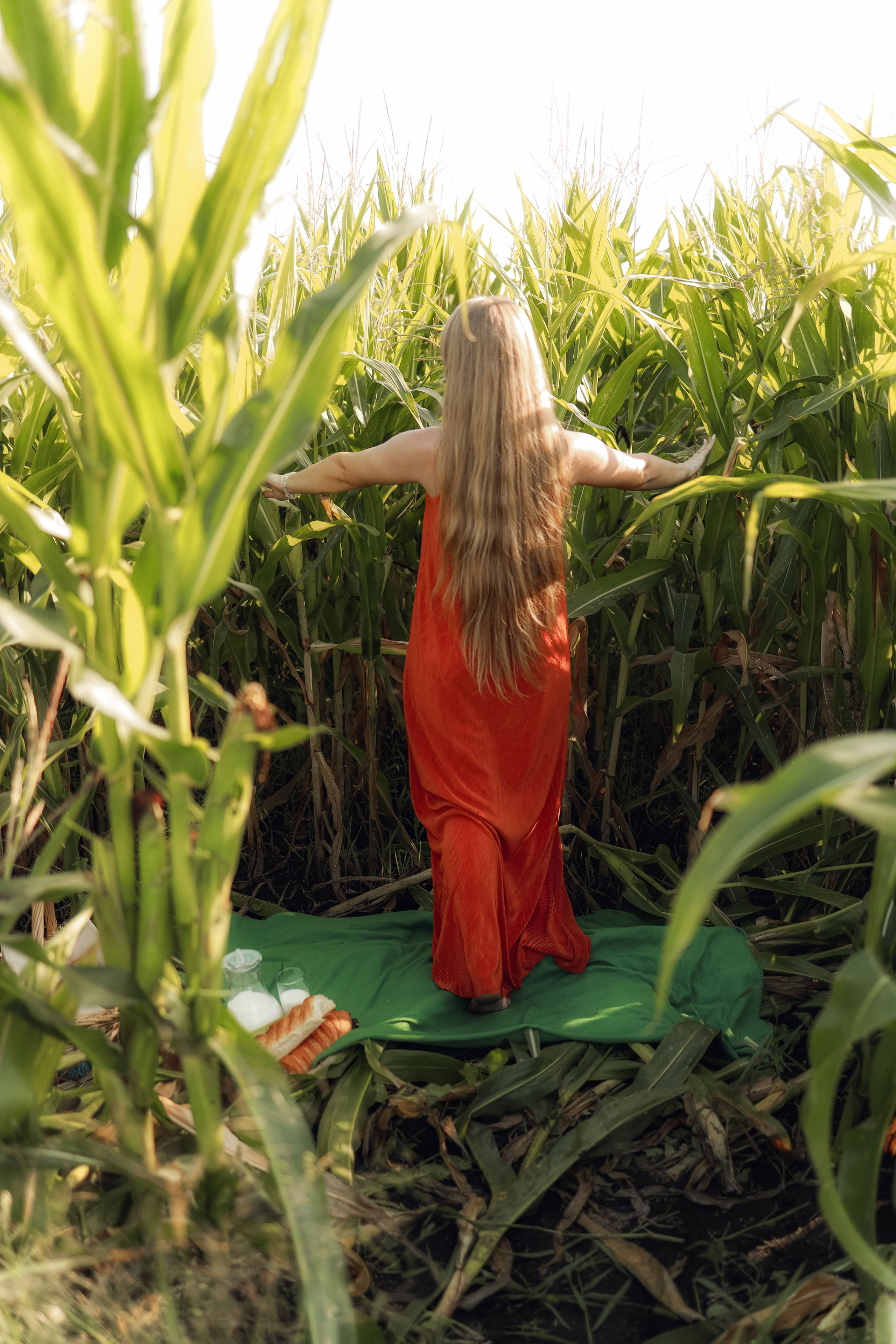 Фотосессия в кукурузе. Иванова Ирина Свадебный и семейный фотограф г. Уфа