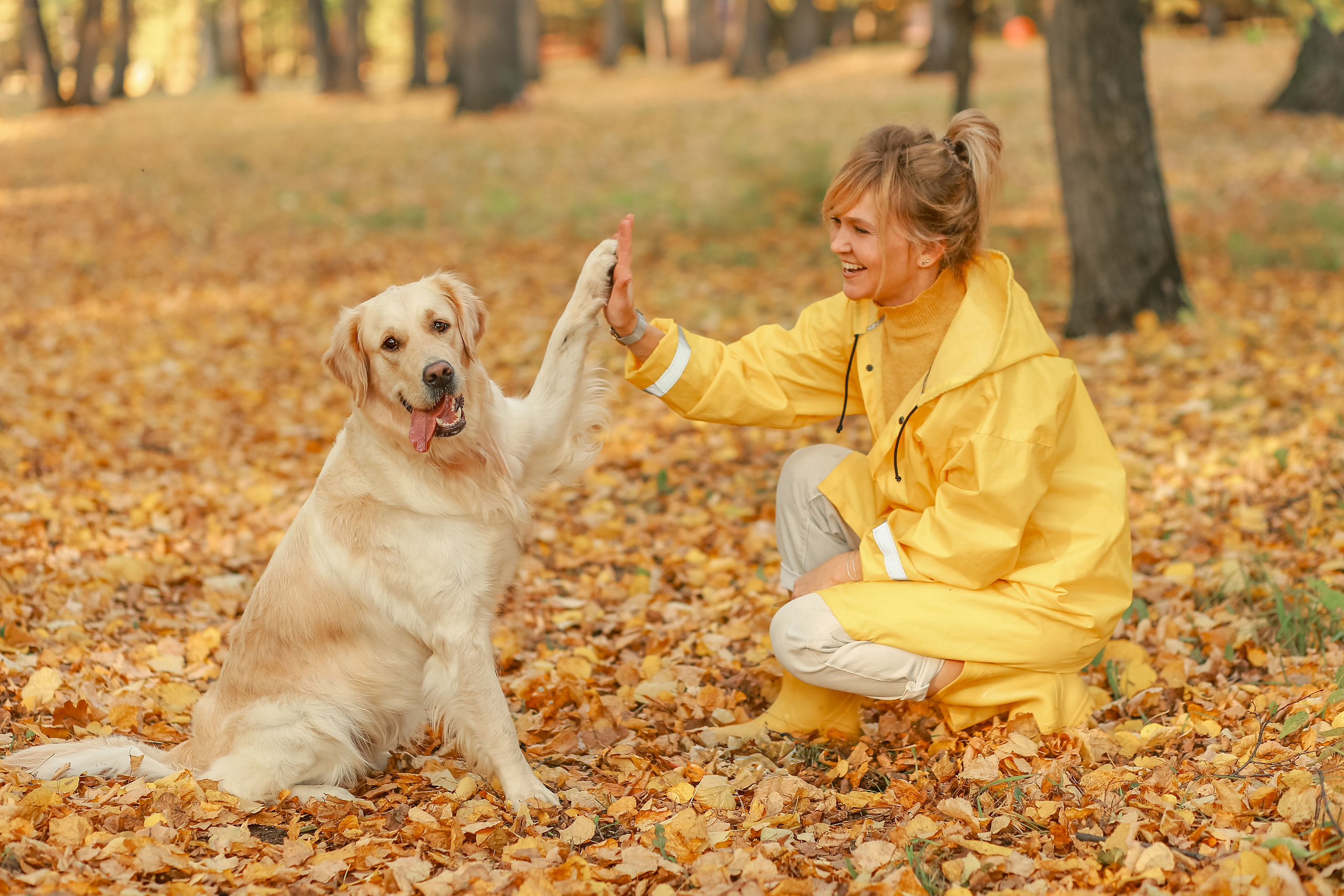 Фотосессия осенью. Иванова Ирина Свадебный и семейный фотограф г. Уфа