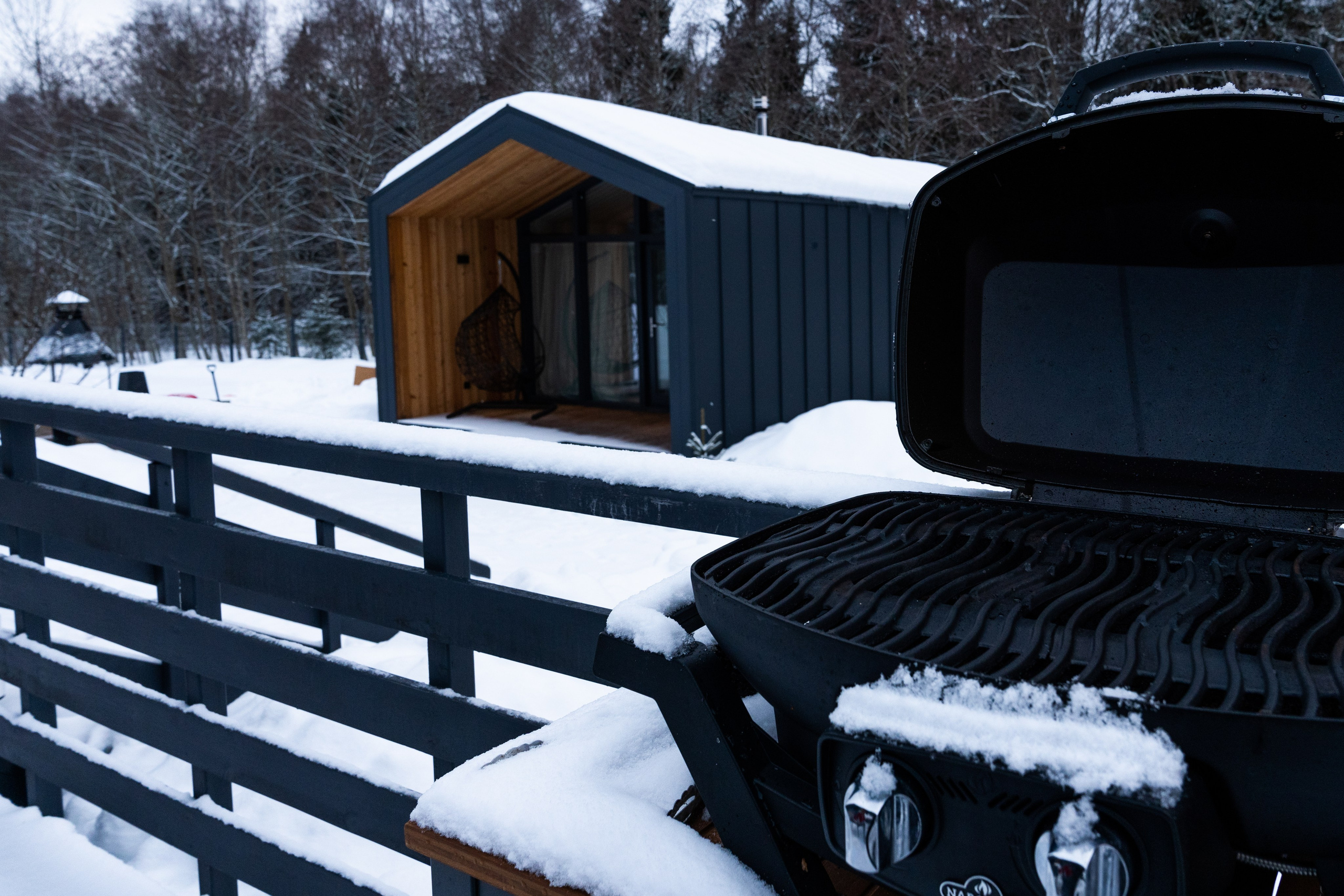 Коттедж Истра. Главная