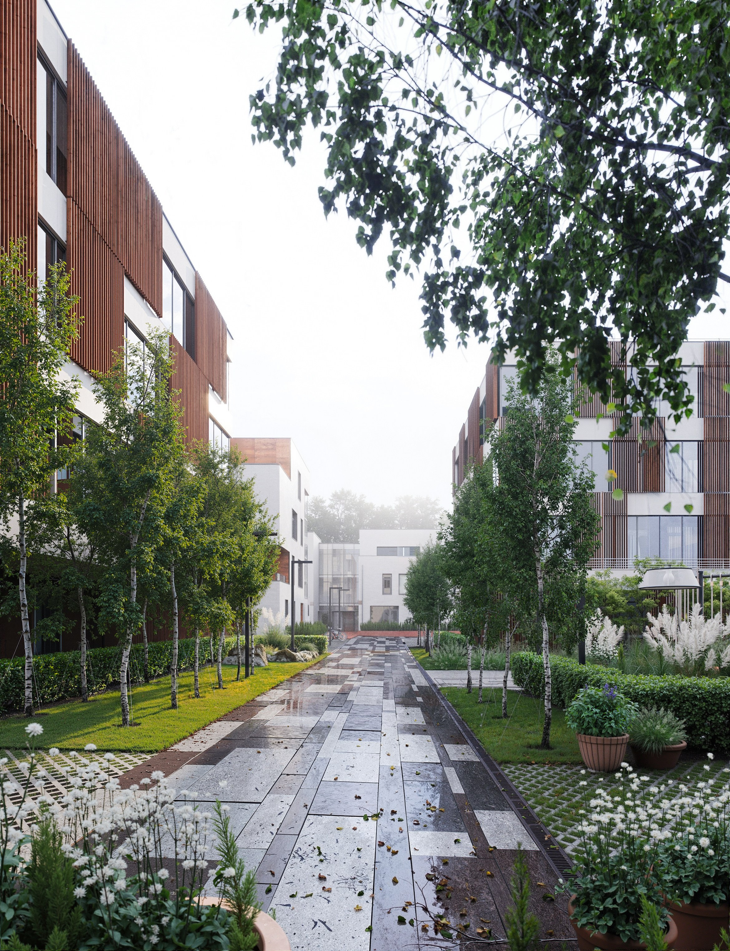 Изображения. Главная