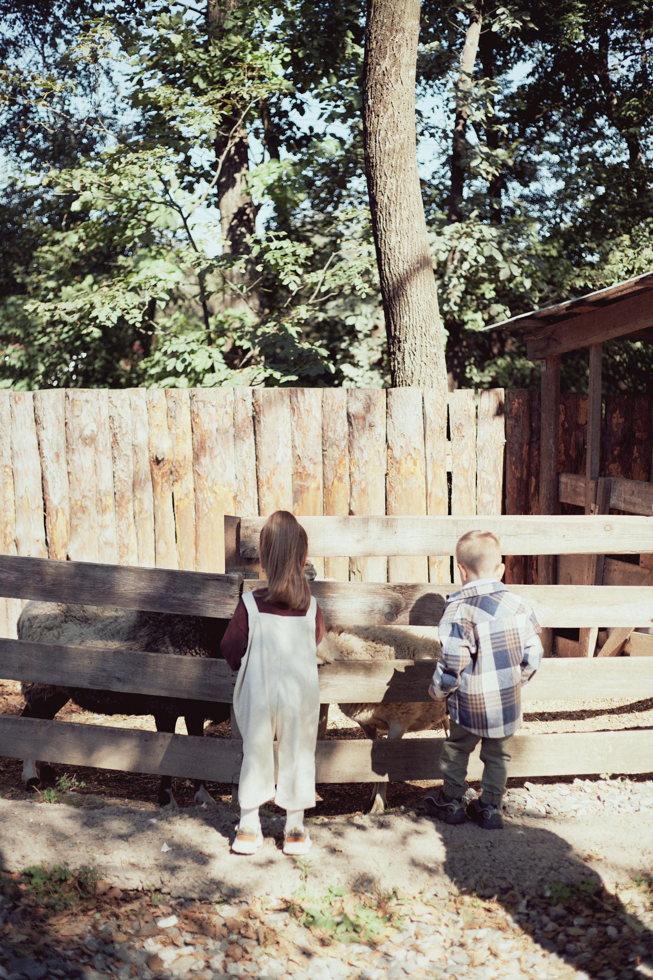 Зоопарк. Фотограф Ионова Анастасия, г Владивосток