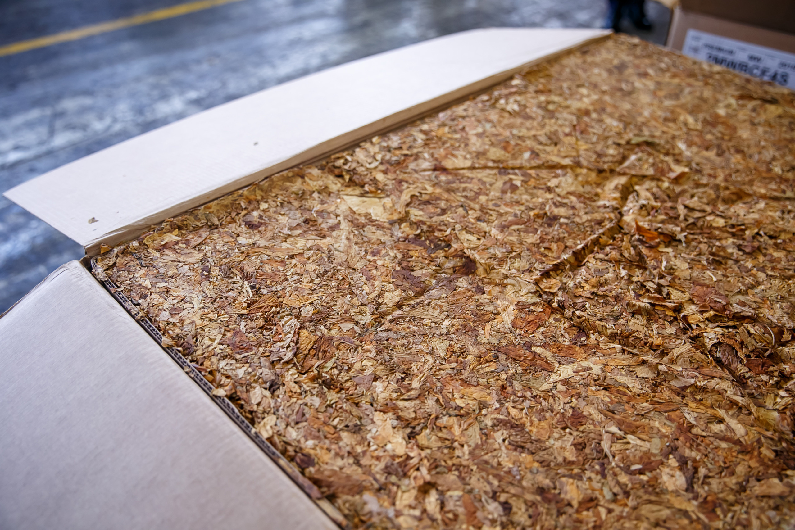 Донской табак. Свадебное фото и видео в Ростове-на-Дону, Краснодаре, Москве и Крыму