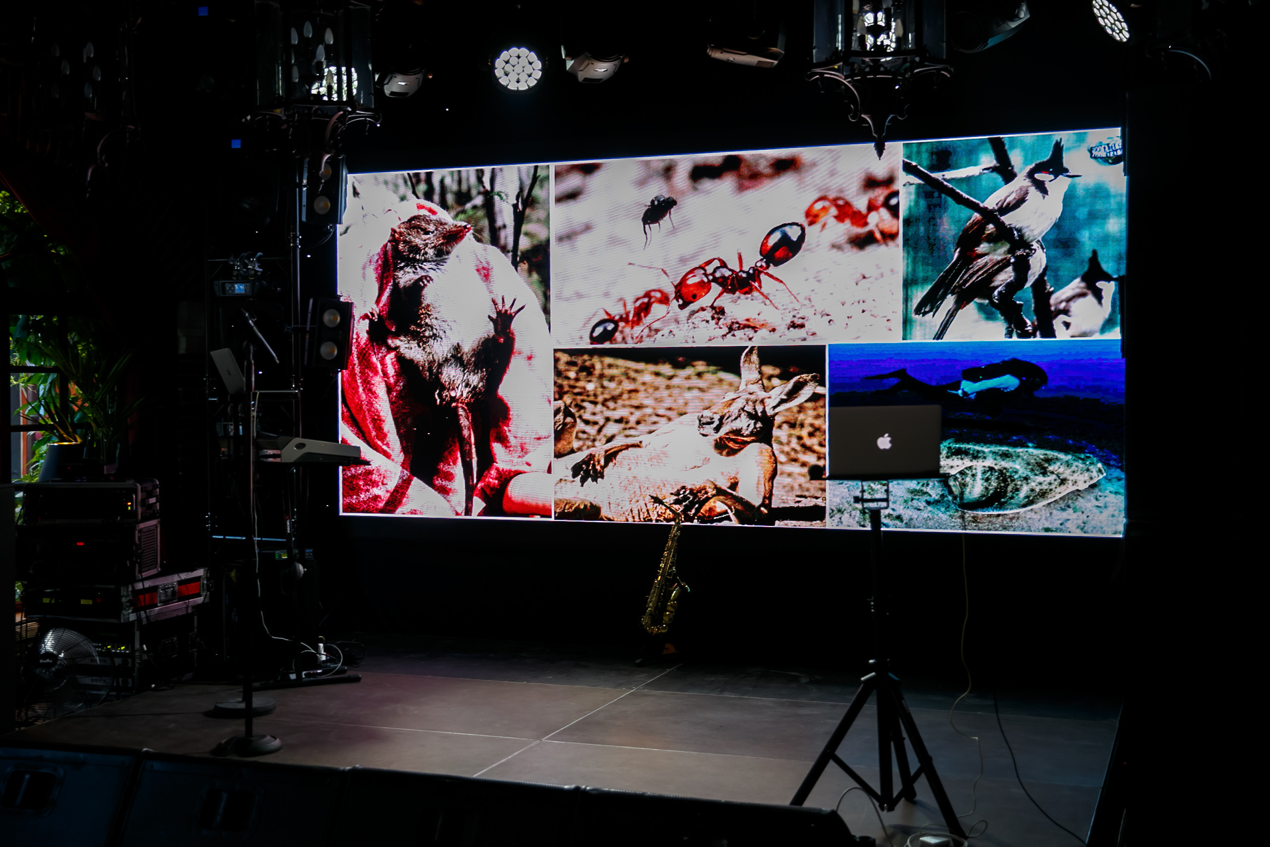 «Юбилей 50». Свадебное фото и видео в Ростове-на-Дону, Краснодаре, Москве и Крыму