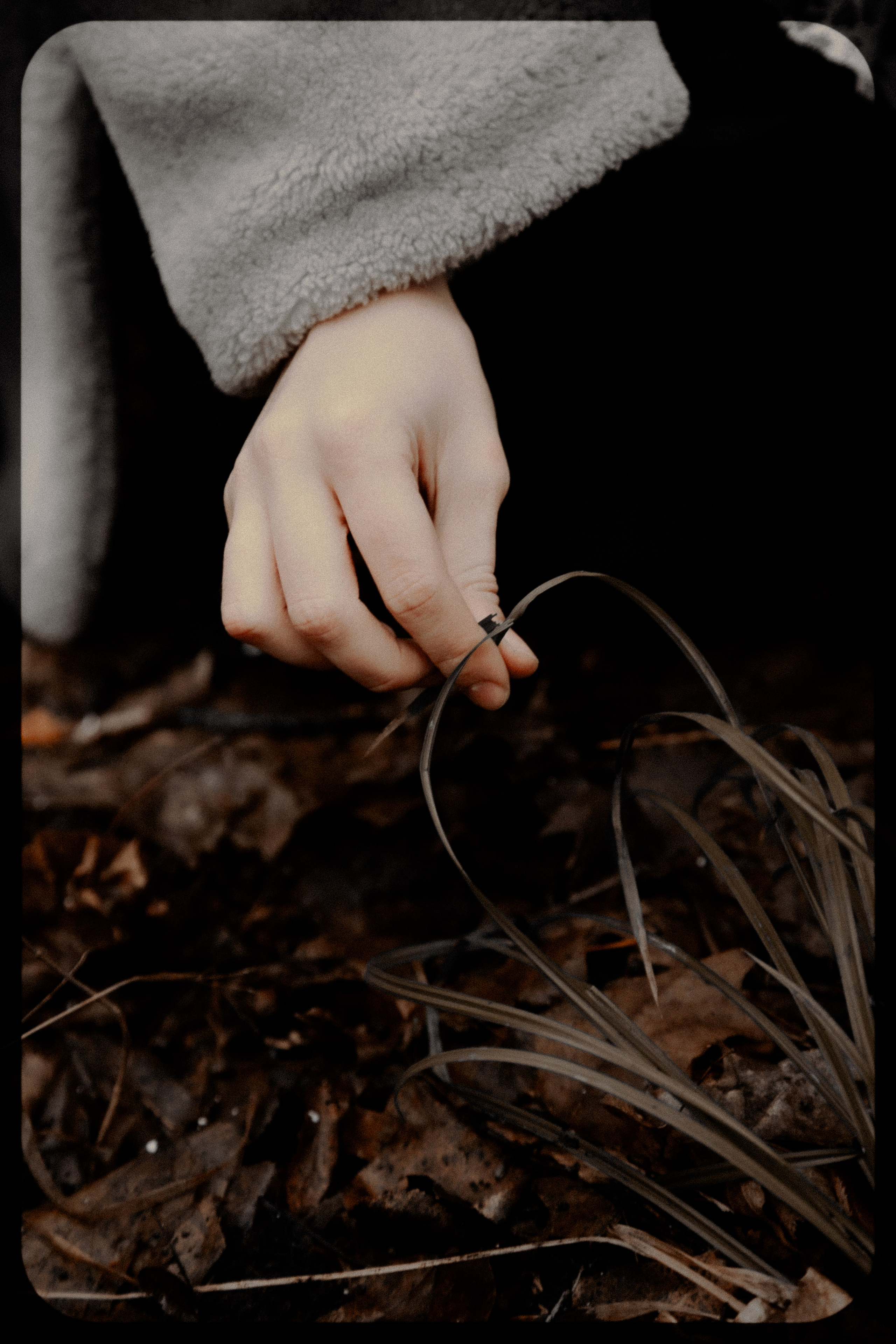 Марина. Ѣль Татьяна Григъ ~ винтажный фотограф