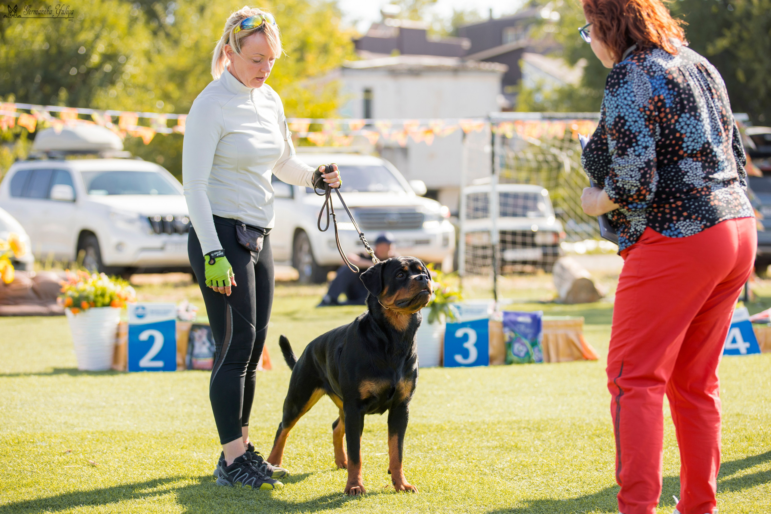 Анапа 16-17.09.2023 моно ротвейлеров. Фотограф-анималист Юлия Германика