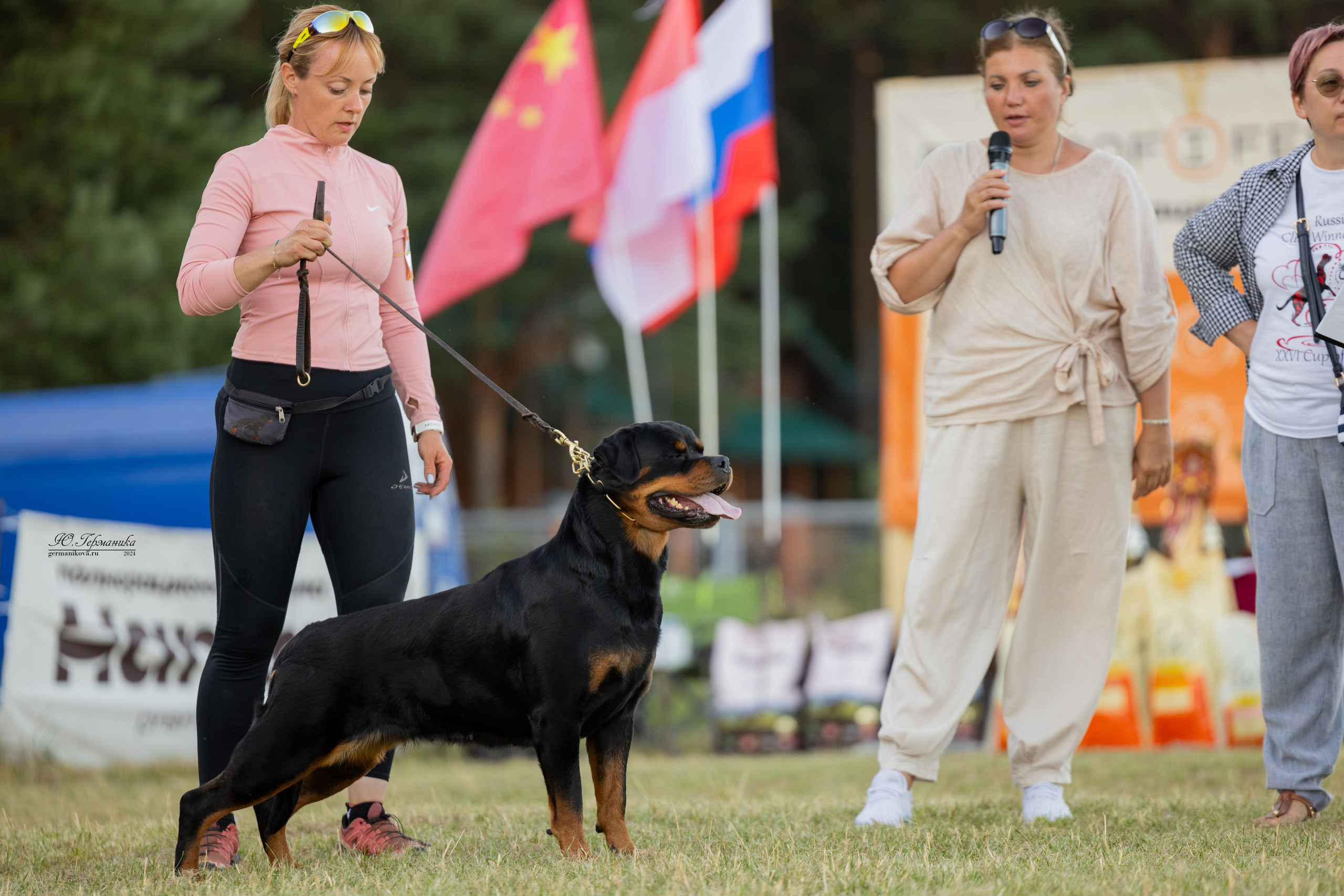 ПК и КЧК ротвейлеры Тверь 6-7.07.2024. Фотограф-анималист Юлия Германика