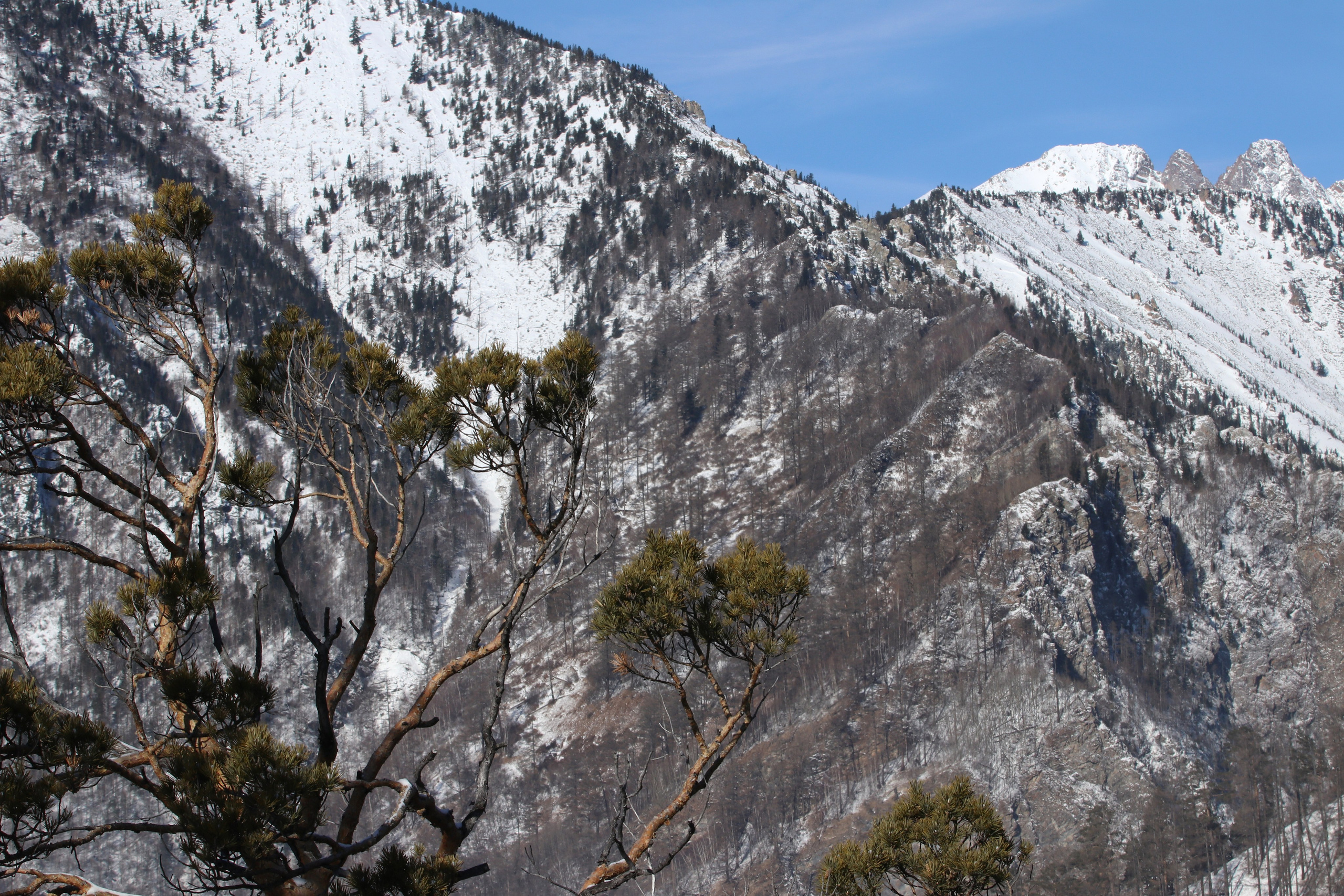 Аршан. Февраль 2025. Путешественник-фотограф из Санкт-Петербурга Татьяна Свистулина