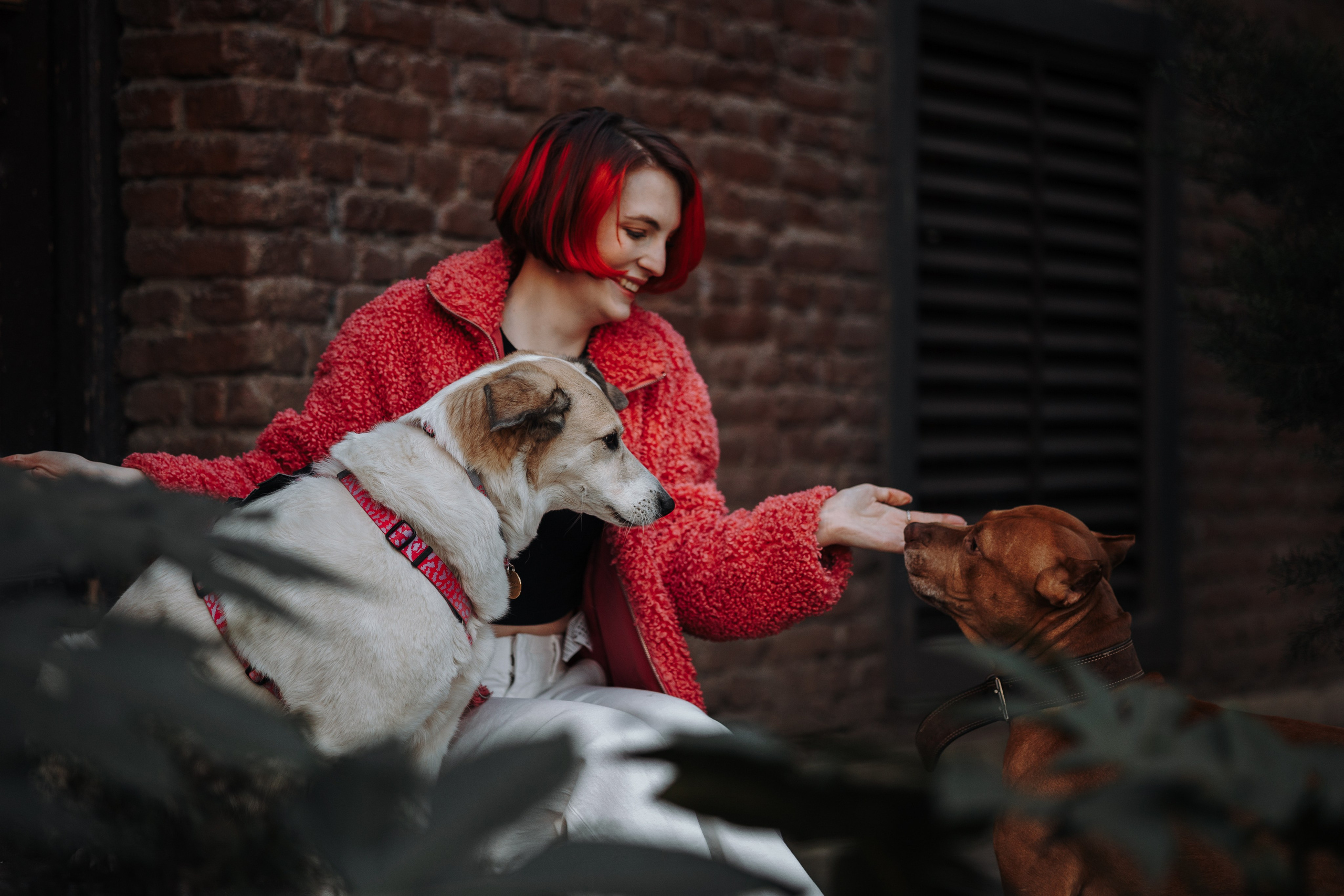 Саша и ее хвосты. Фотограф — Анималист | Санкт-Петербург