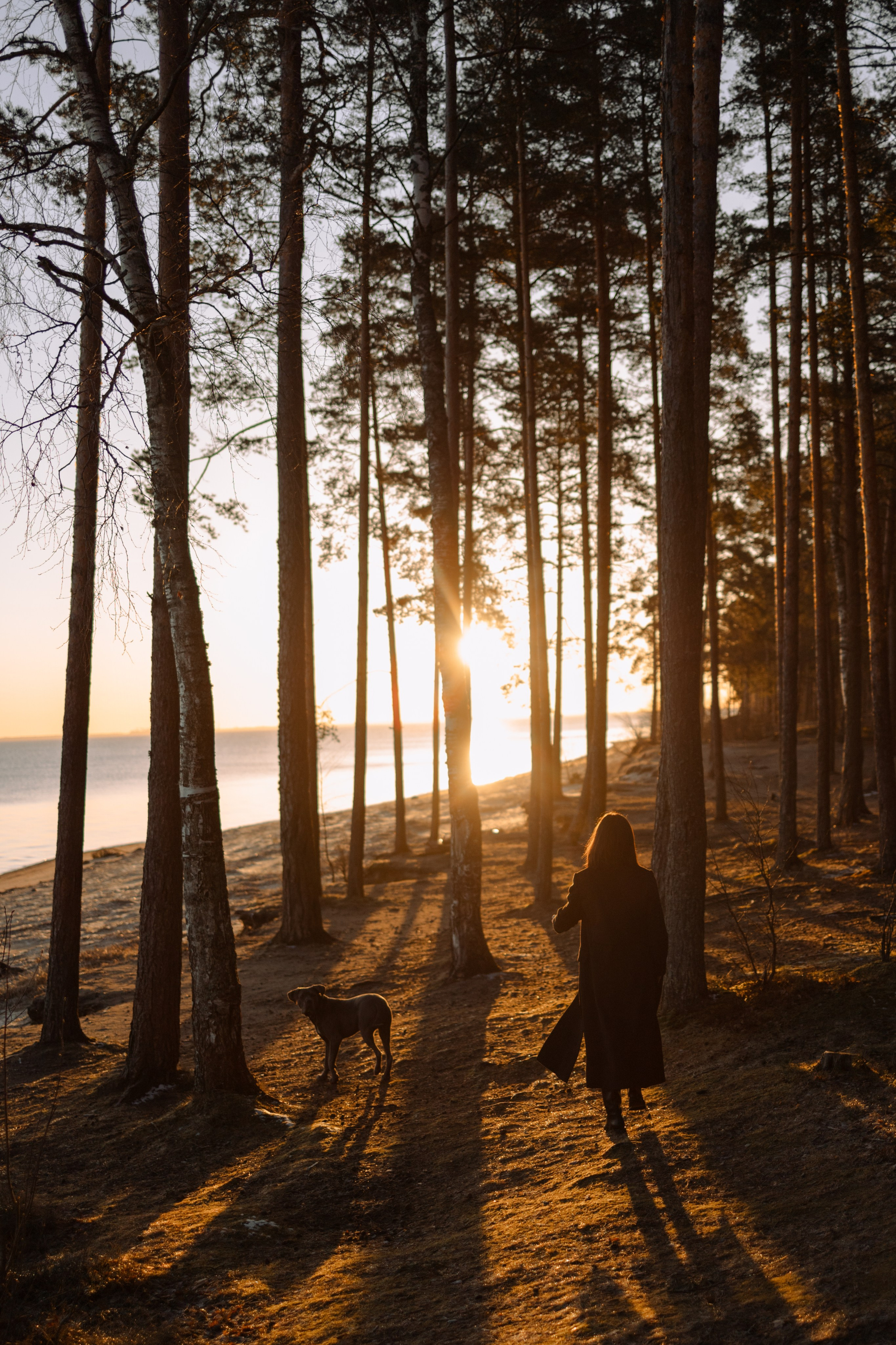 Анна и Лана. Фотограф — Анималист | Санкт-Петербург