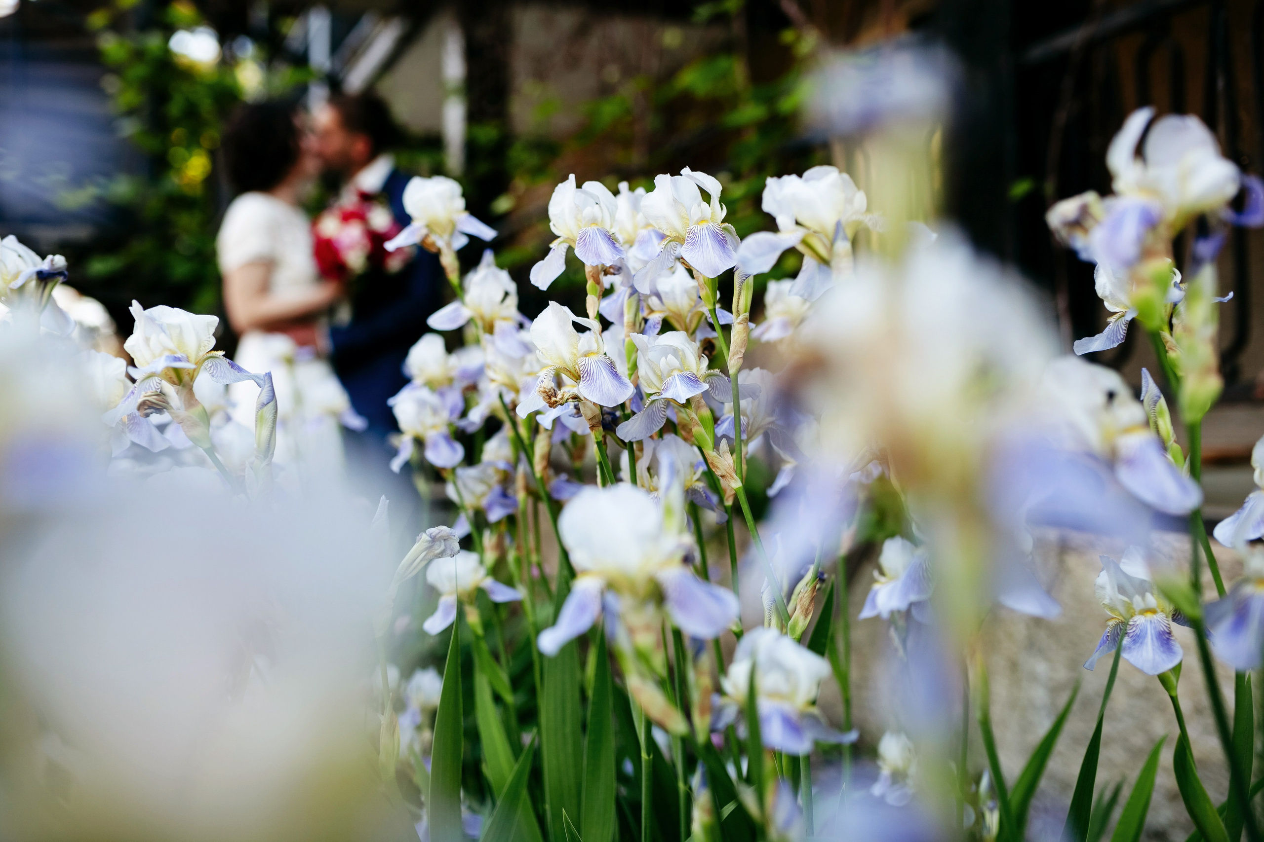 Наталья и Саша. Свадебный фотограф в Воронеже Иван Самодуров