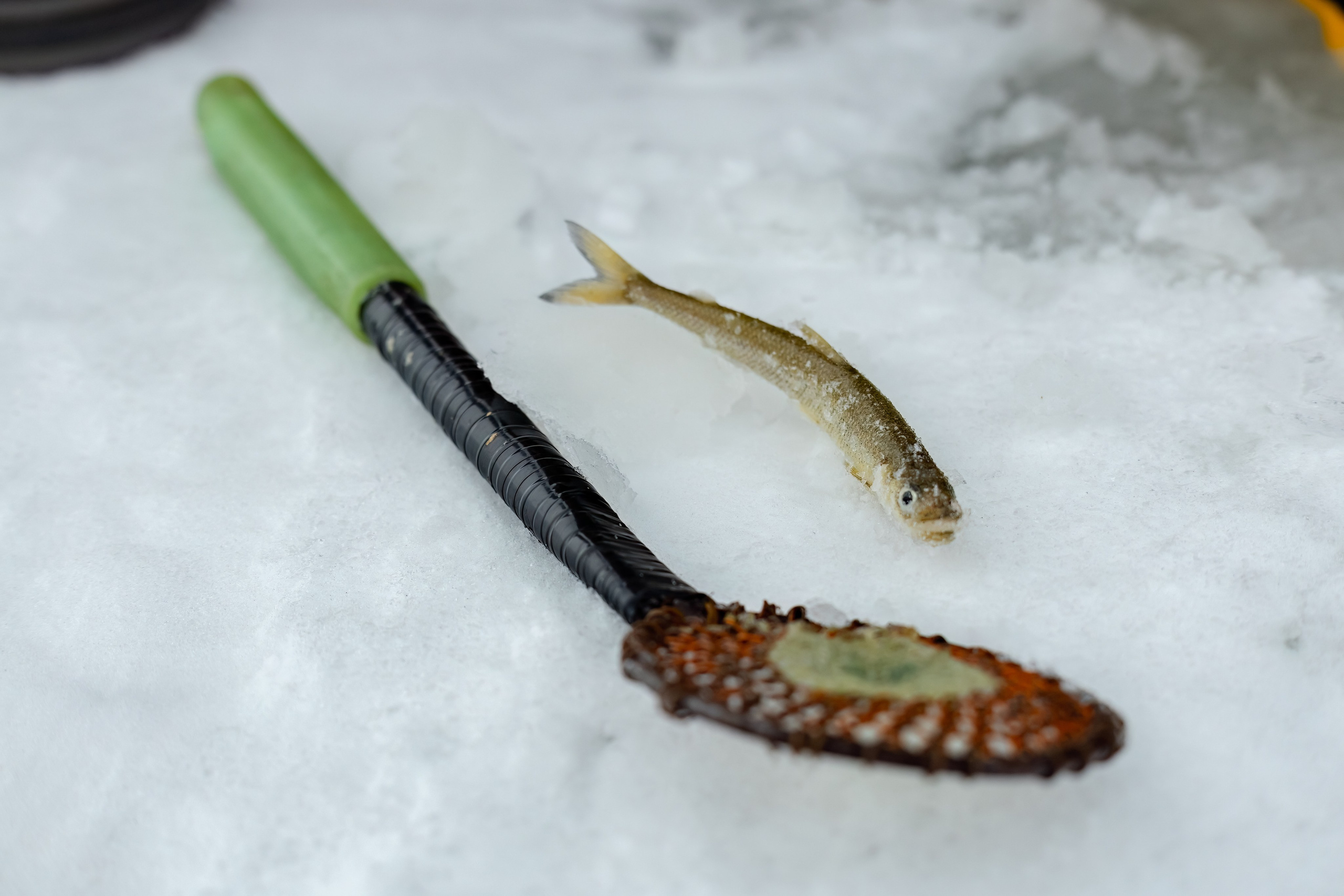 Ярмарка-фестиваль «Я-Я, КЕМСКА ВОЛОСТЬ!» (2024 г.). Аэросъемка. Фото и Видео в Карелии. Алексей Фрилунд