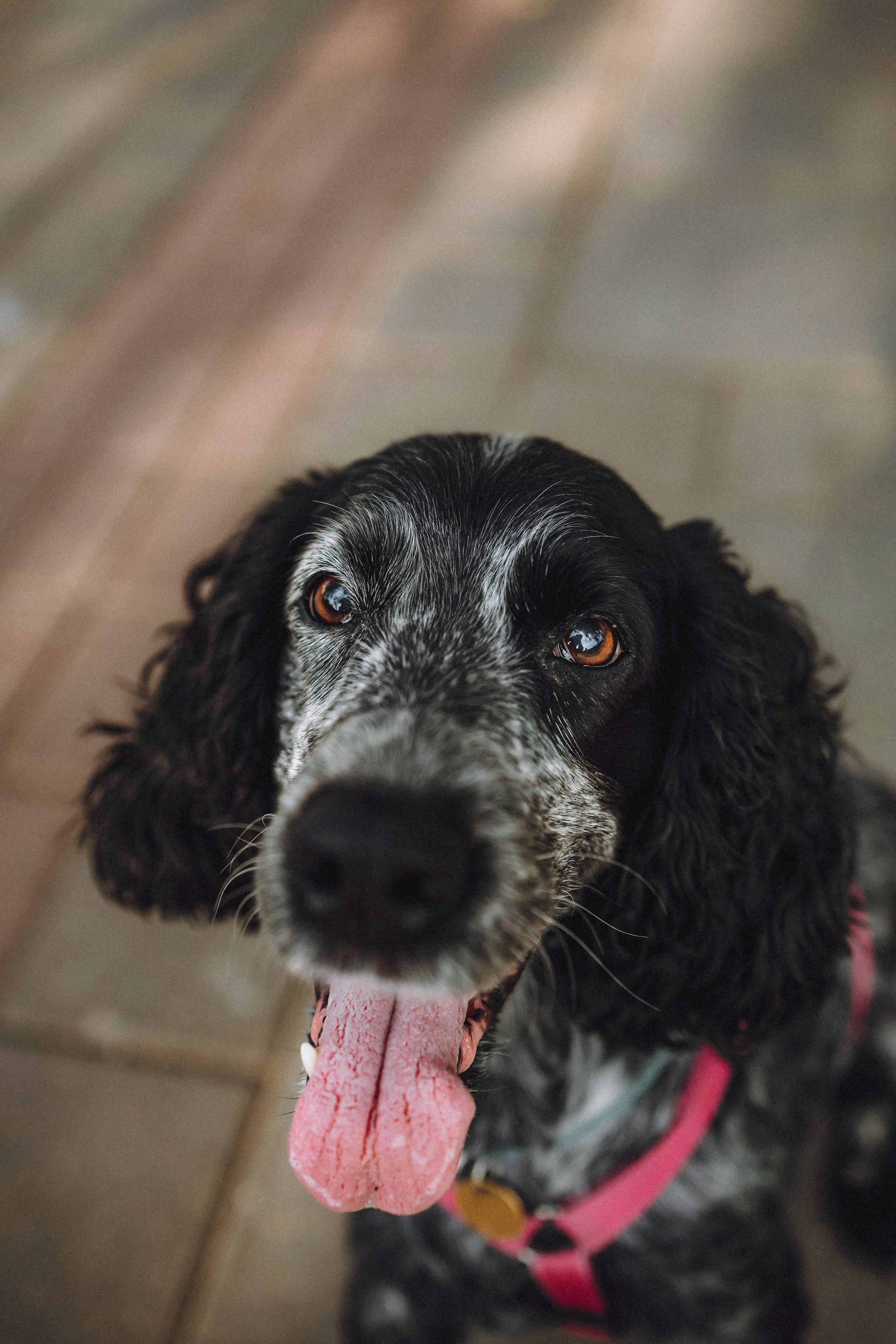 Маша и Ларри