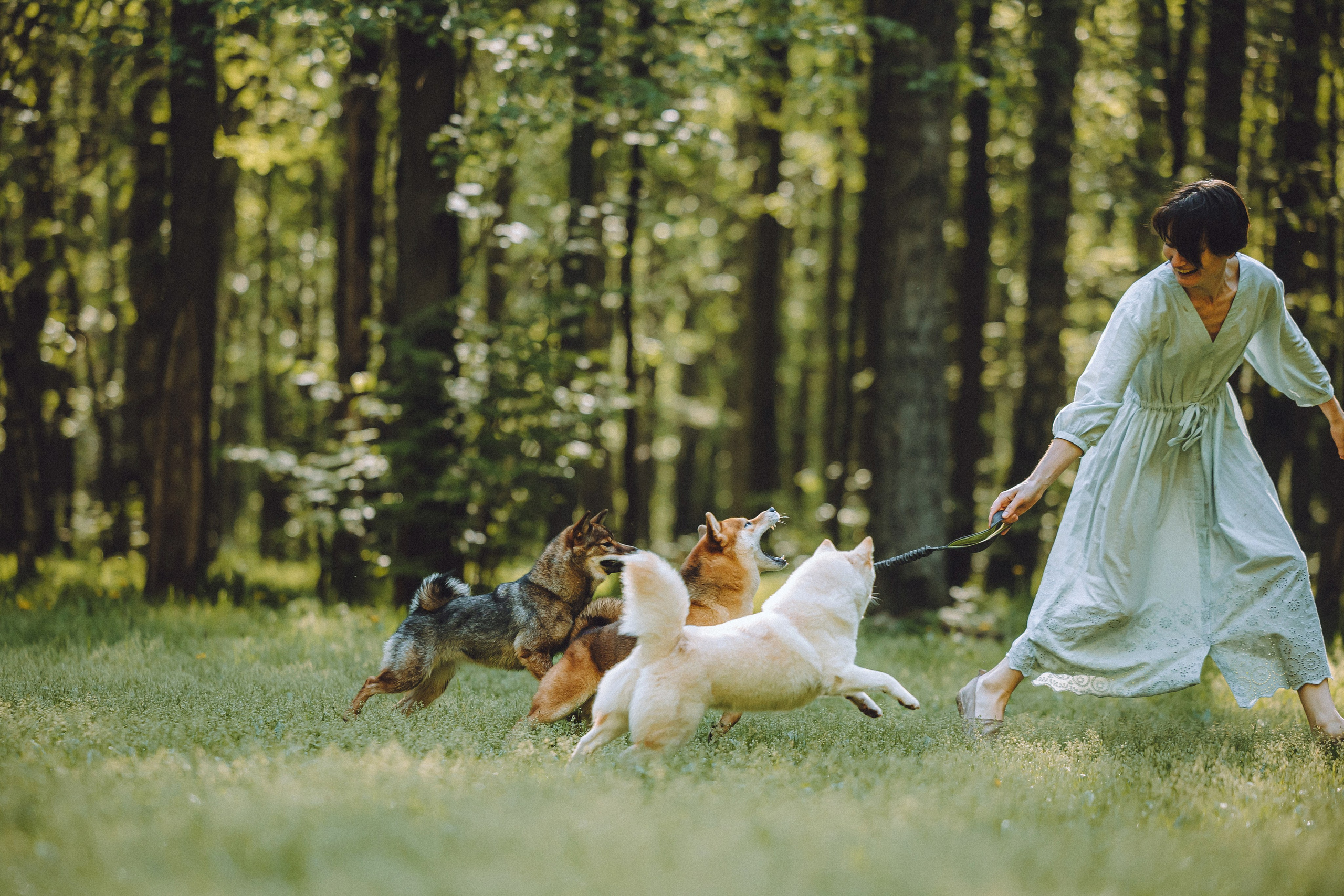 Шед, Цири, Чиби, Цера и их семья