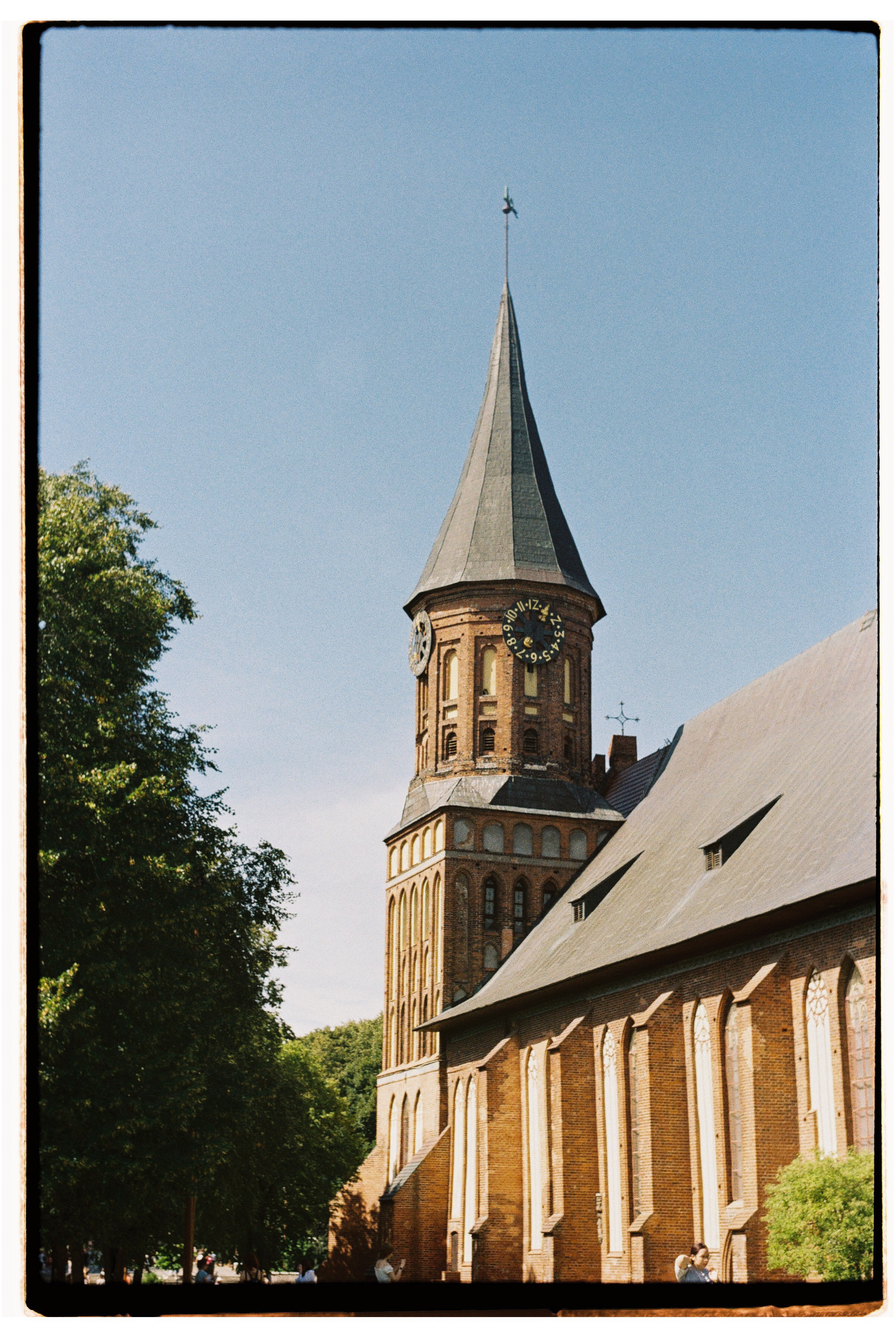 Калининградская область и Санкт-Петербруг | 2024. Портретный фотограф | Олеся Комарова | Екатеринбург