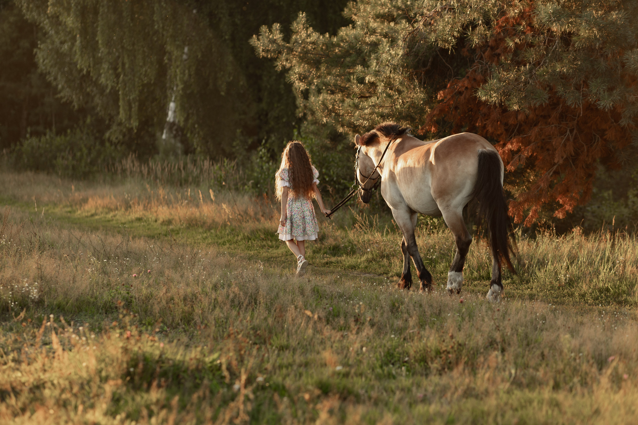 Семейная фотосессия. Свадебный, семейный фотограф в Раменском, Москве и Подмосковье