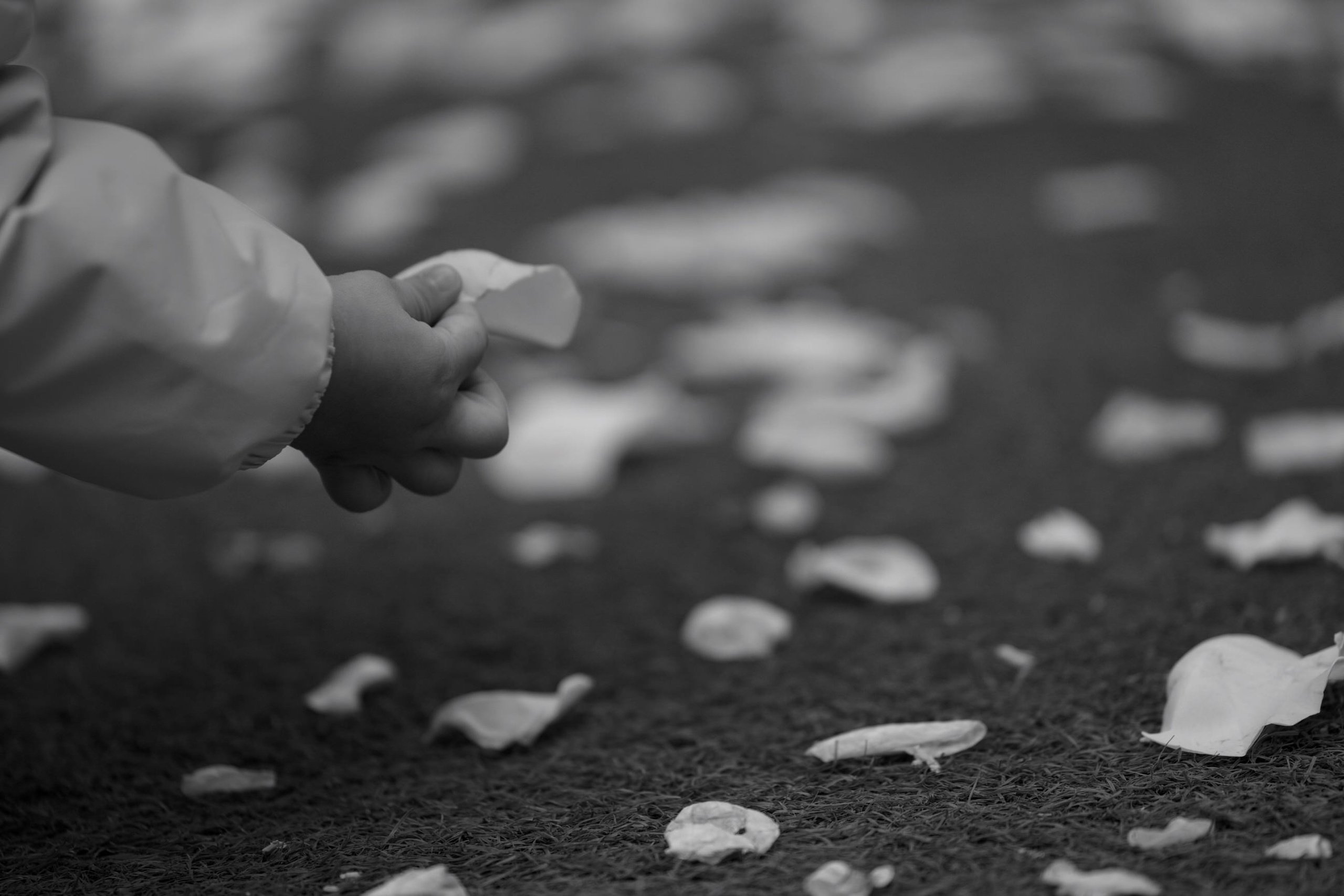 Валерия & Семён. Yura Rush Свадебный фотограф Тюмень