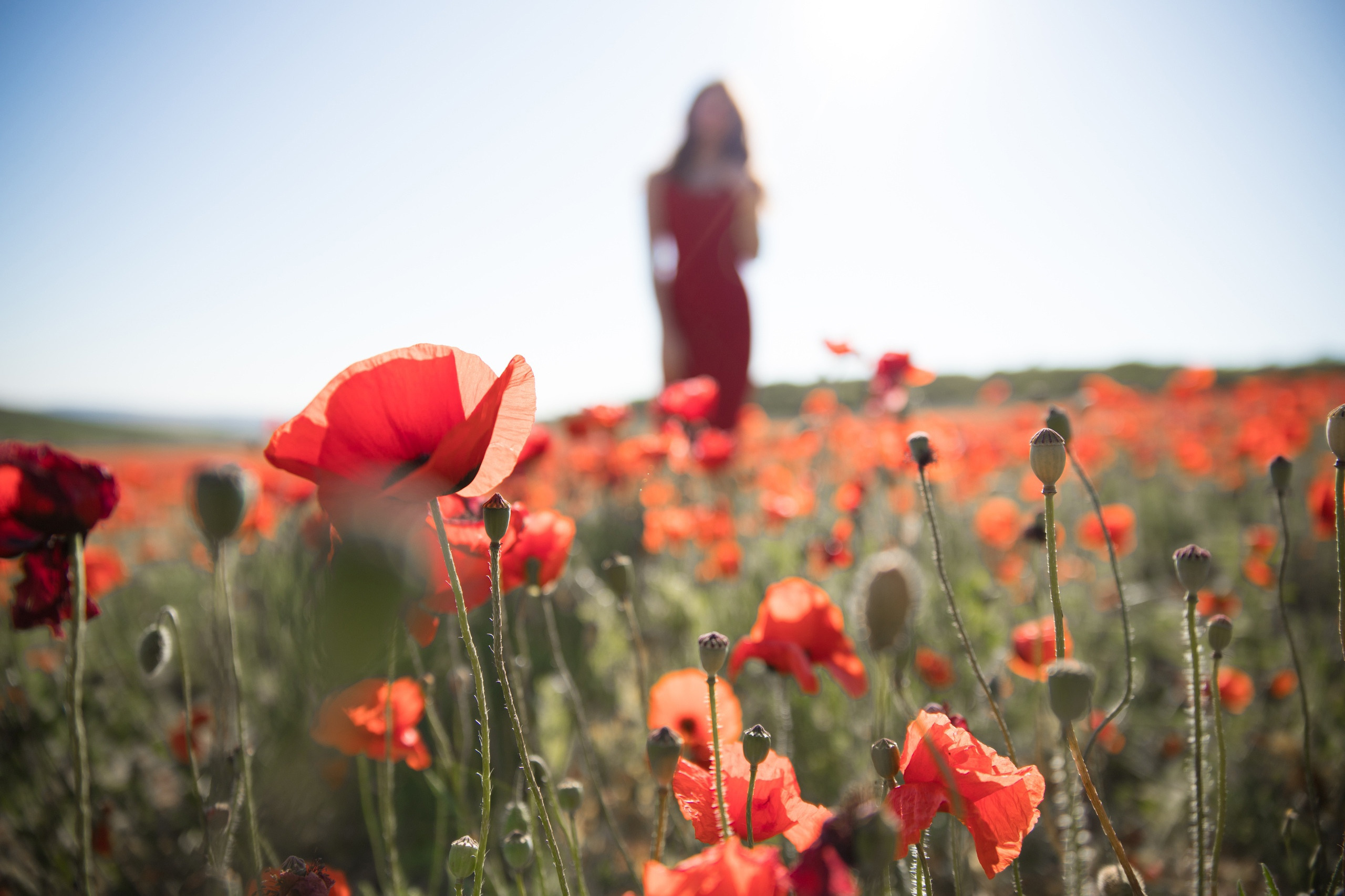 Севиля. Свадебная видеосъемка в Крыму и Севастополе