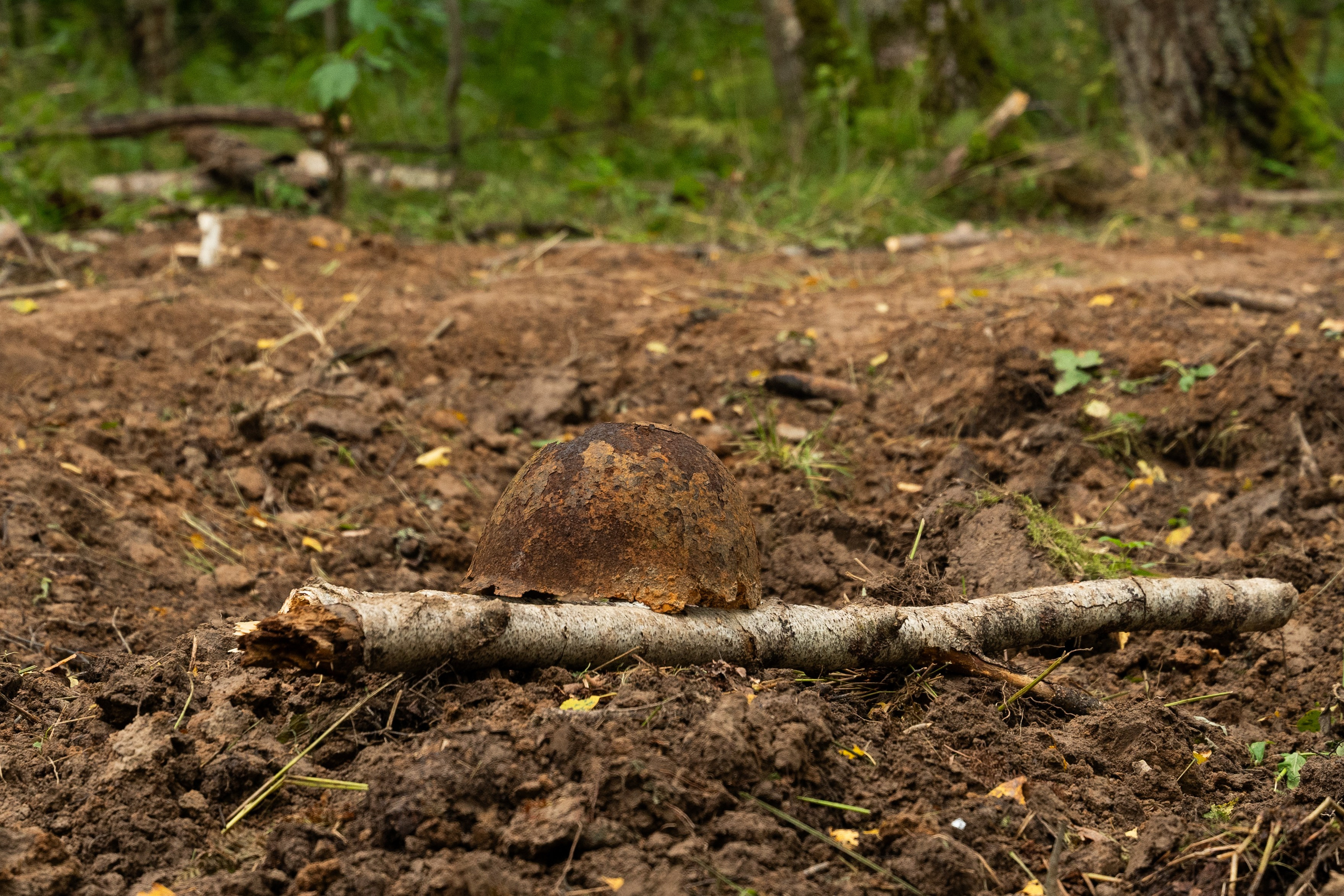 Роспатриот. Photographer | Moscow | Daria Novikova