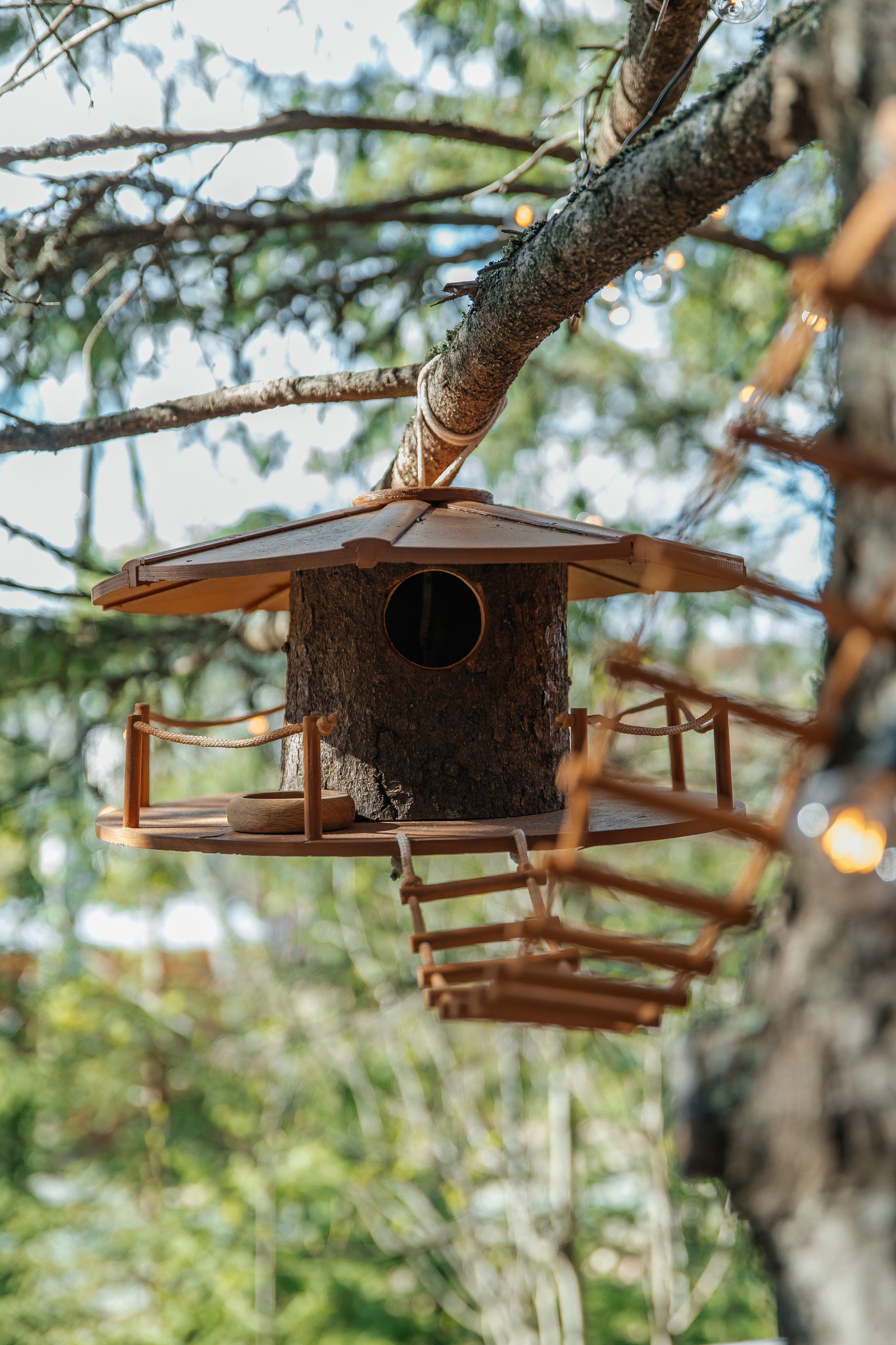 Творческий мастер — класс. Свадебный фотограф в Нижнем Тагиле Анна Пфайфер
