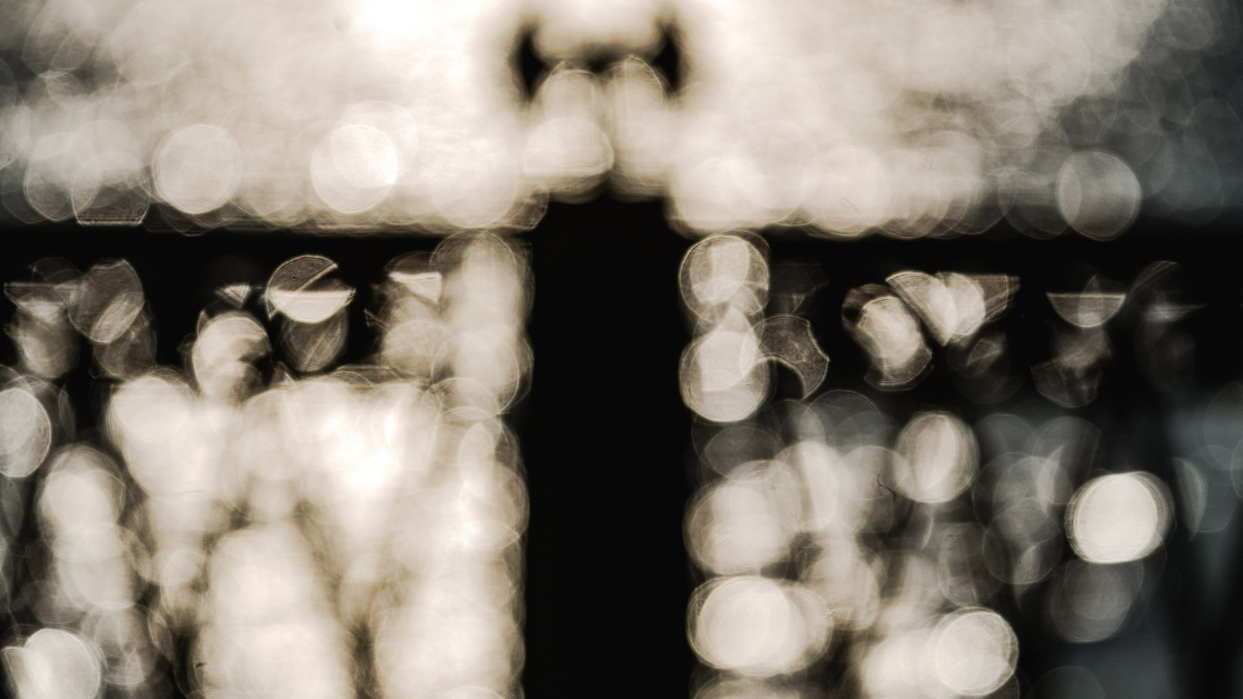 Saint Petersburg. The Andris