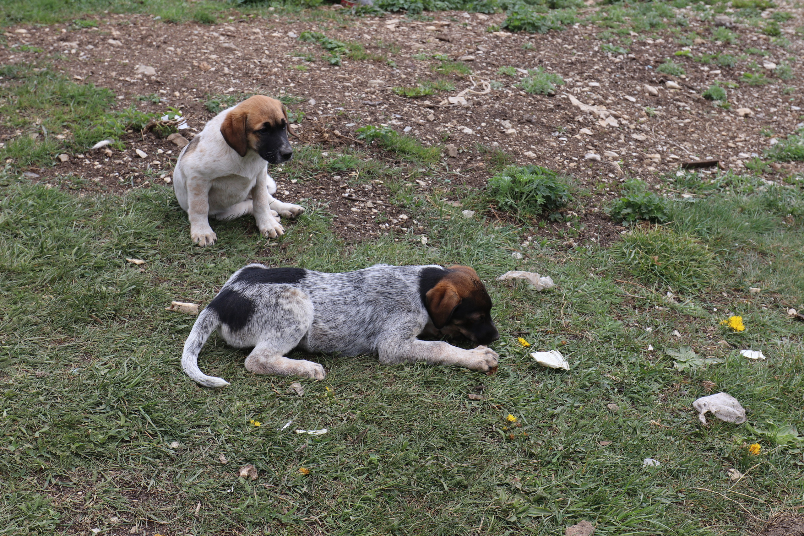 Крым. ЮБК (Бахчисарай, Демерджи, Судак). Первый скалолазный выезд. Май 2019. Путешественник-фотограф из Санкт-Петербурга Татьяна Свистулина