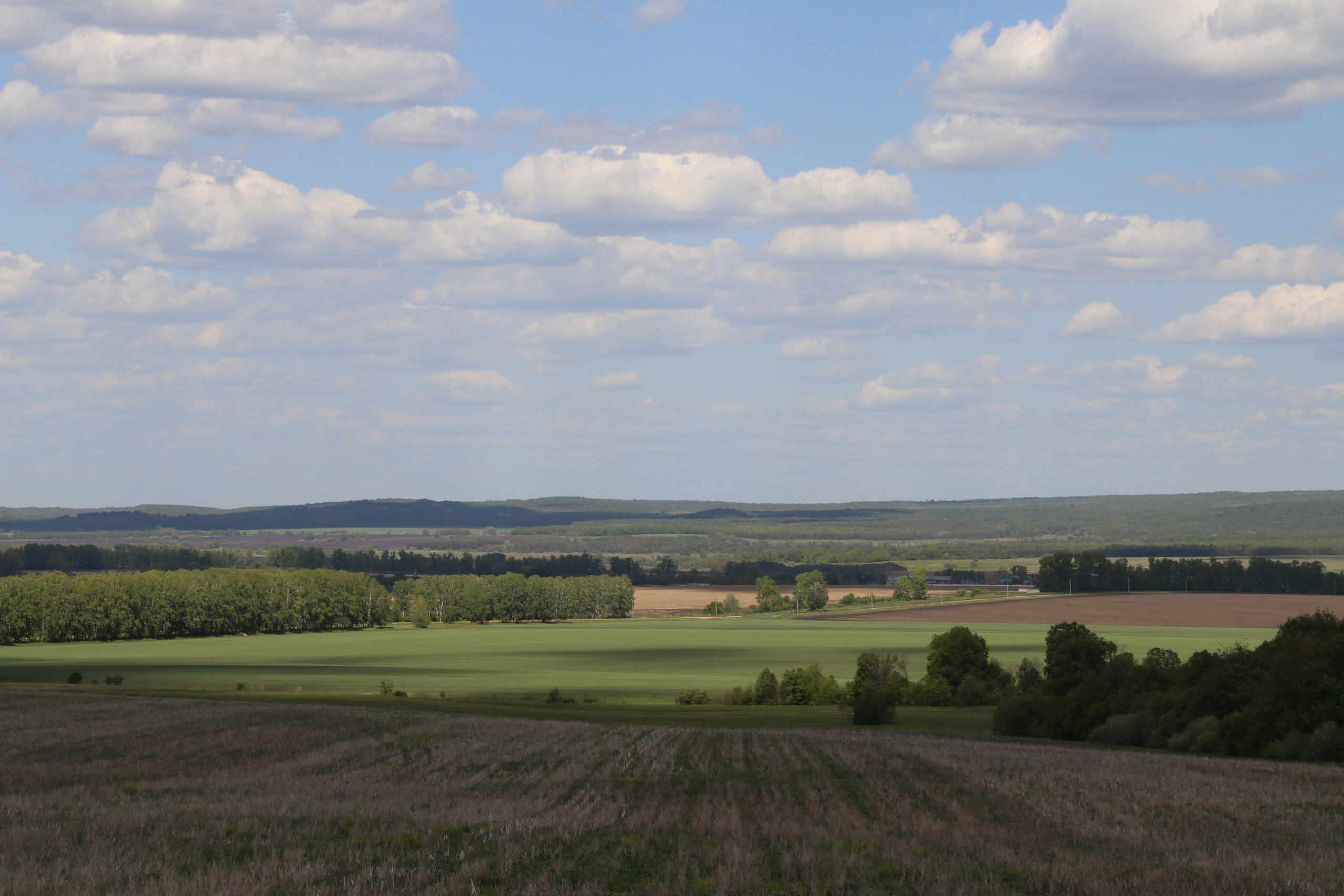 Велопоход Уфа — Мелеуз. Май 2024. Путешественник-фотограф из Санкт-Петербурга Татьяна Свистулина