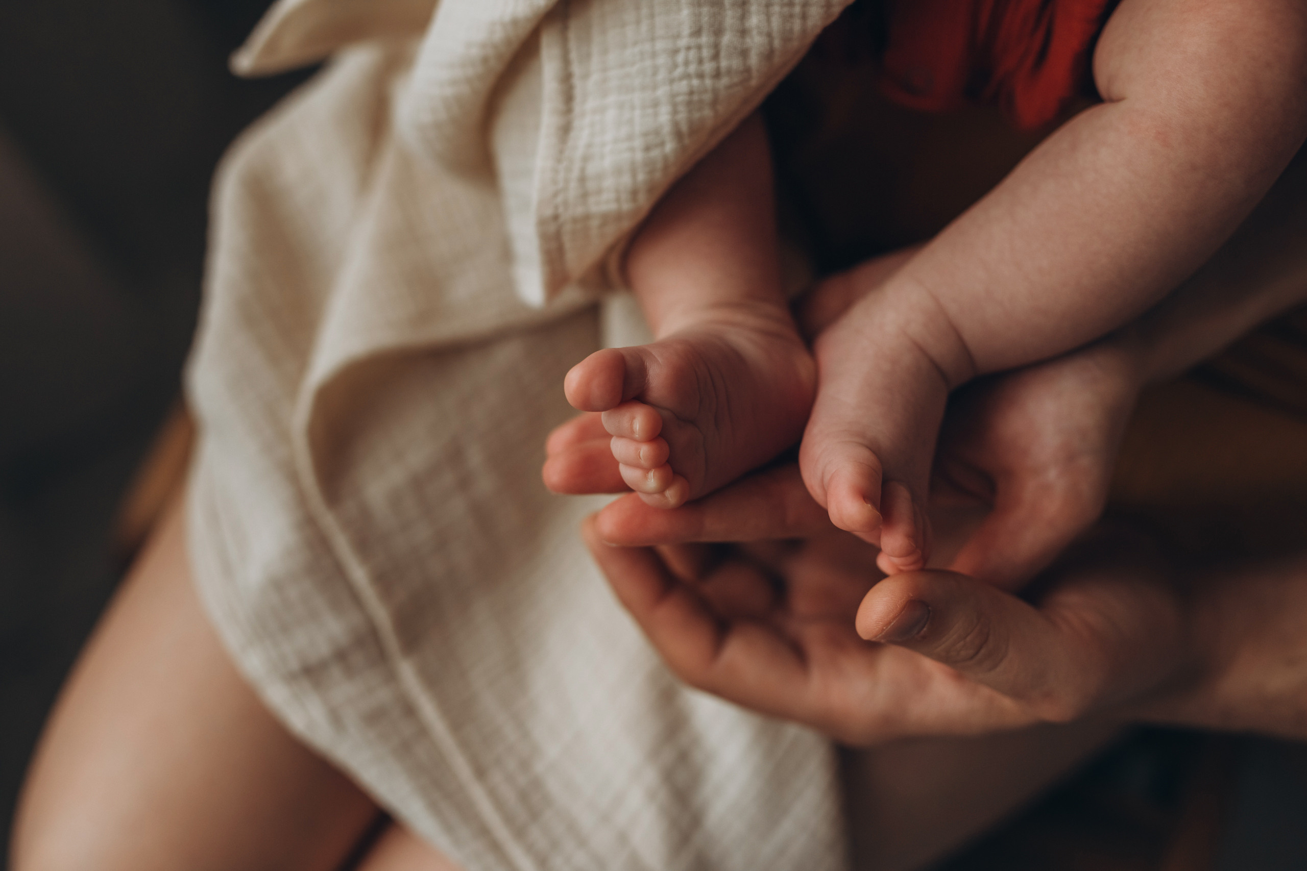 Настя, Ваня и Миша. Семейный фотограф в Краснодаре Виктория Кокоулина