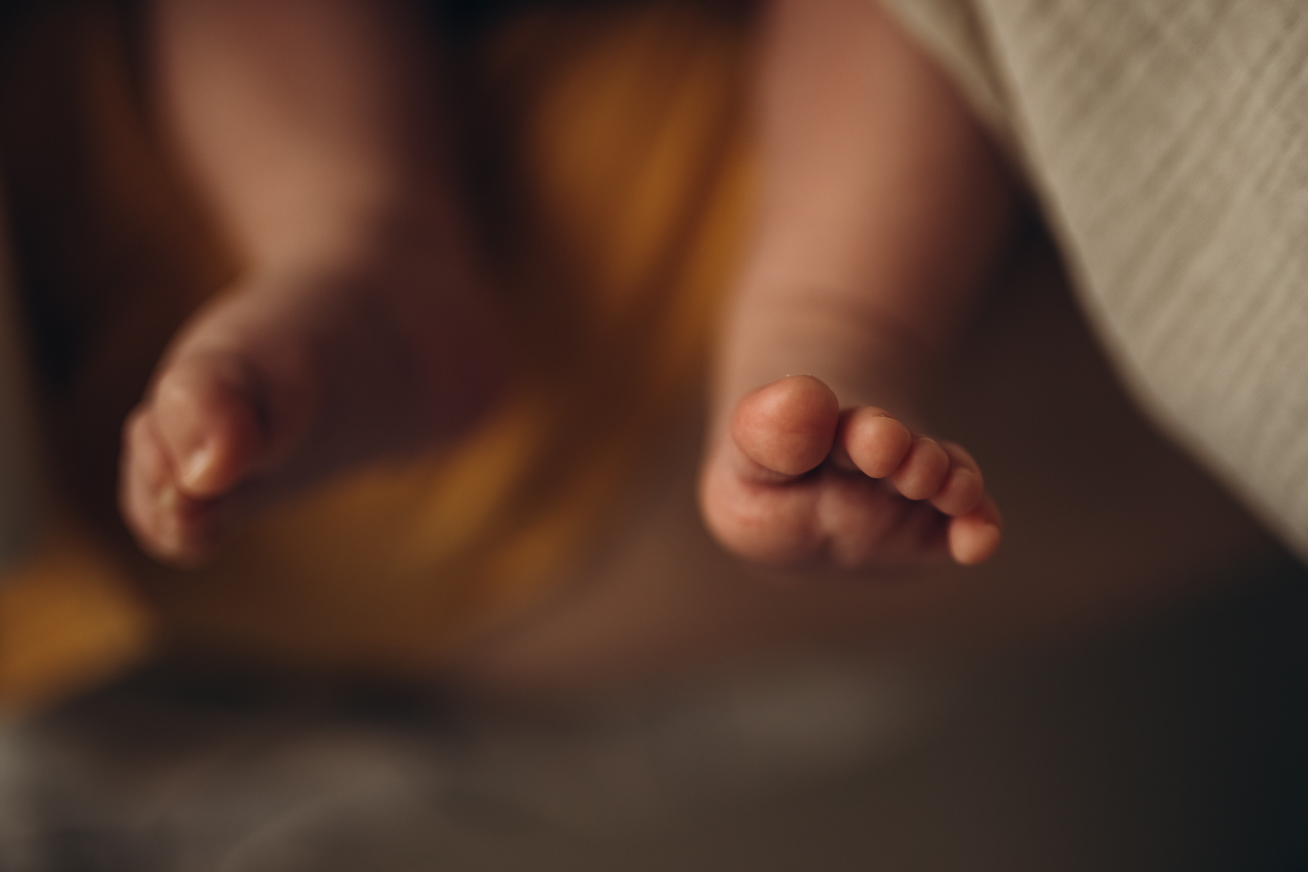 Настя, Ваня и Миша. Семейный фотограф в Краснодаре Виктория Кокоулина