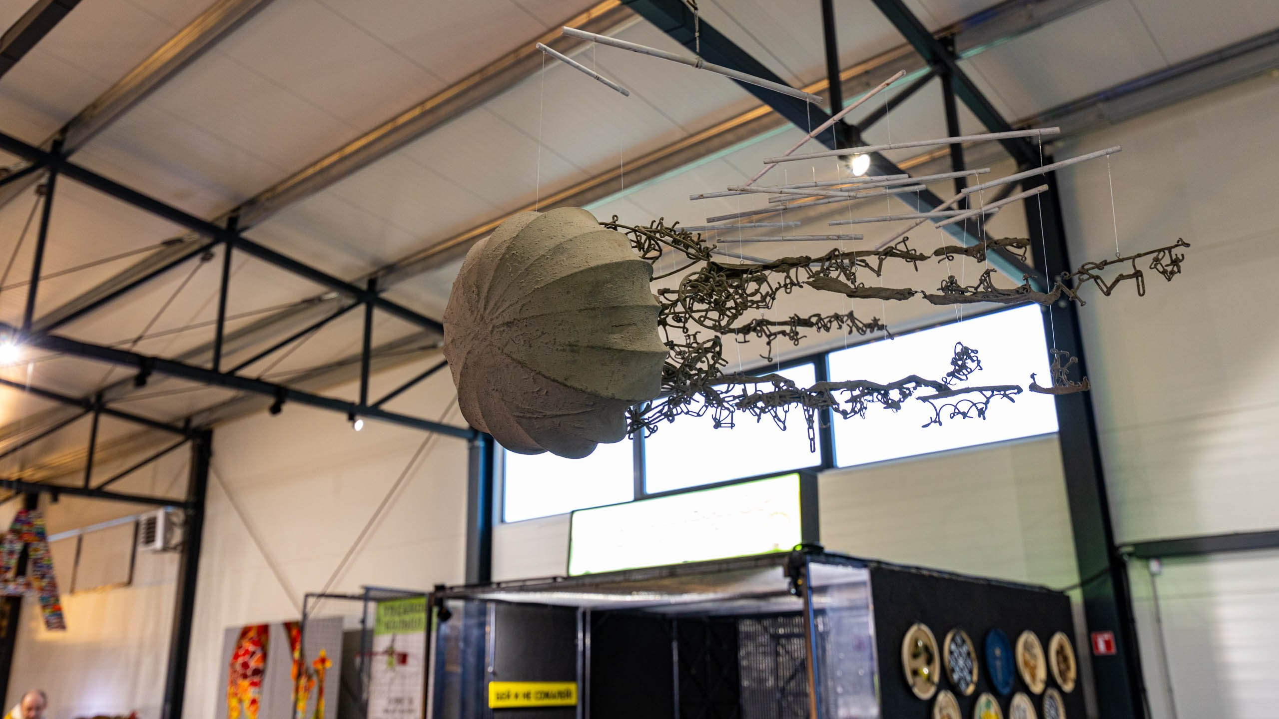 2024 01 Калининград (Светлогорск, Зеленоградск). Фотографии