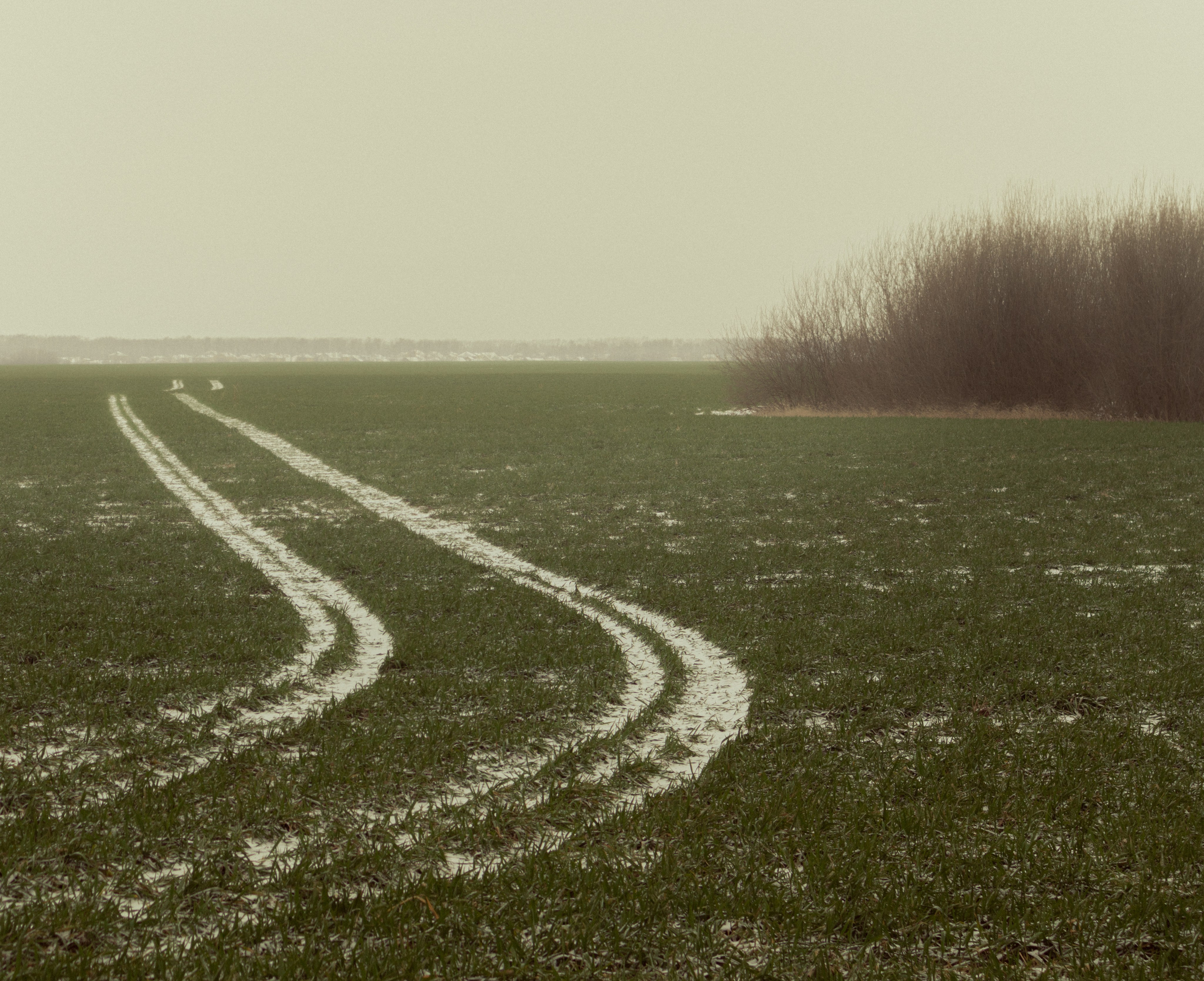 Работы вне серий — Сафонов Владислав. Сафонов Владислав, фотохудожник