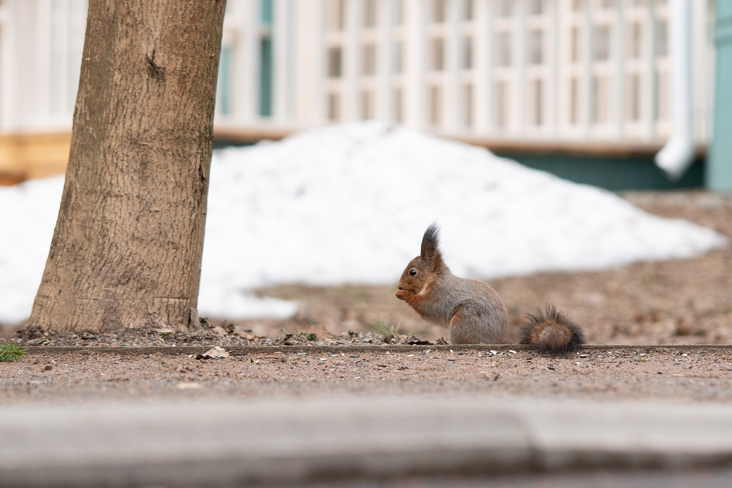 ПЕРЕДЕЛКИНО. ПОБУДЬ ЗДЕСЬ И ЦЕЛЕЕ БУДЕТ ЭТОТ МИР
