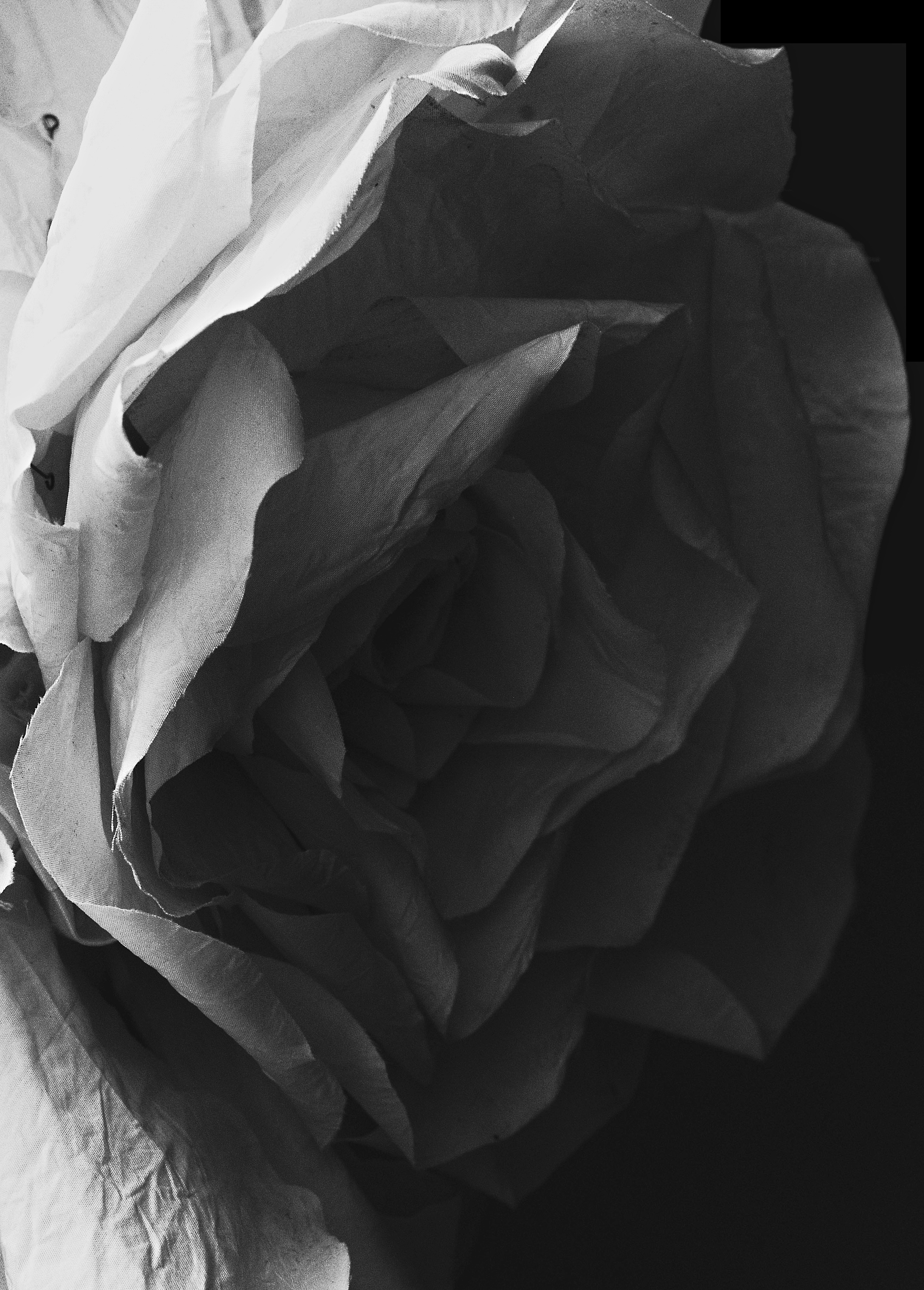 Bride_23. Свадебный и семейный фотограф в Новосибирске, Санкт-Петербурге, Москве