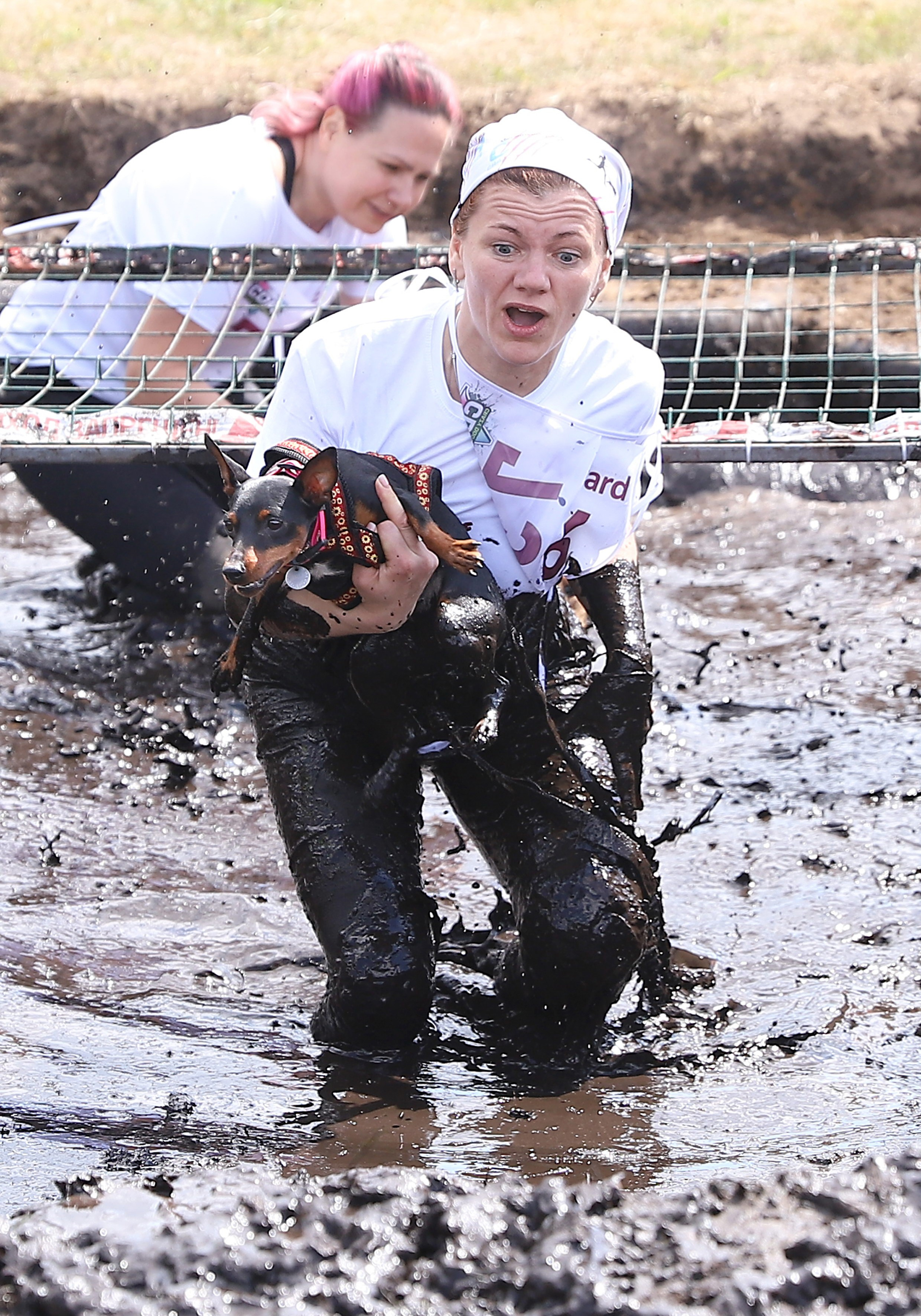Хвостатый драйв. Семейный и детский фотограф в Москве и МО Елена Москвичева