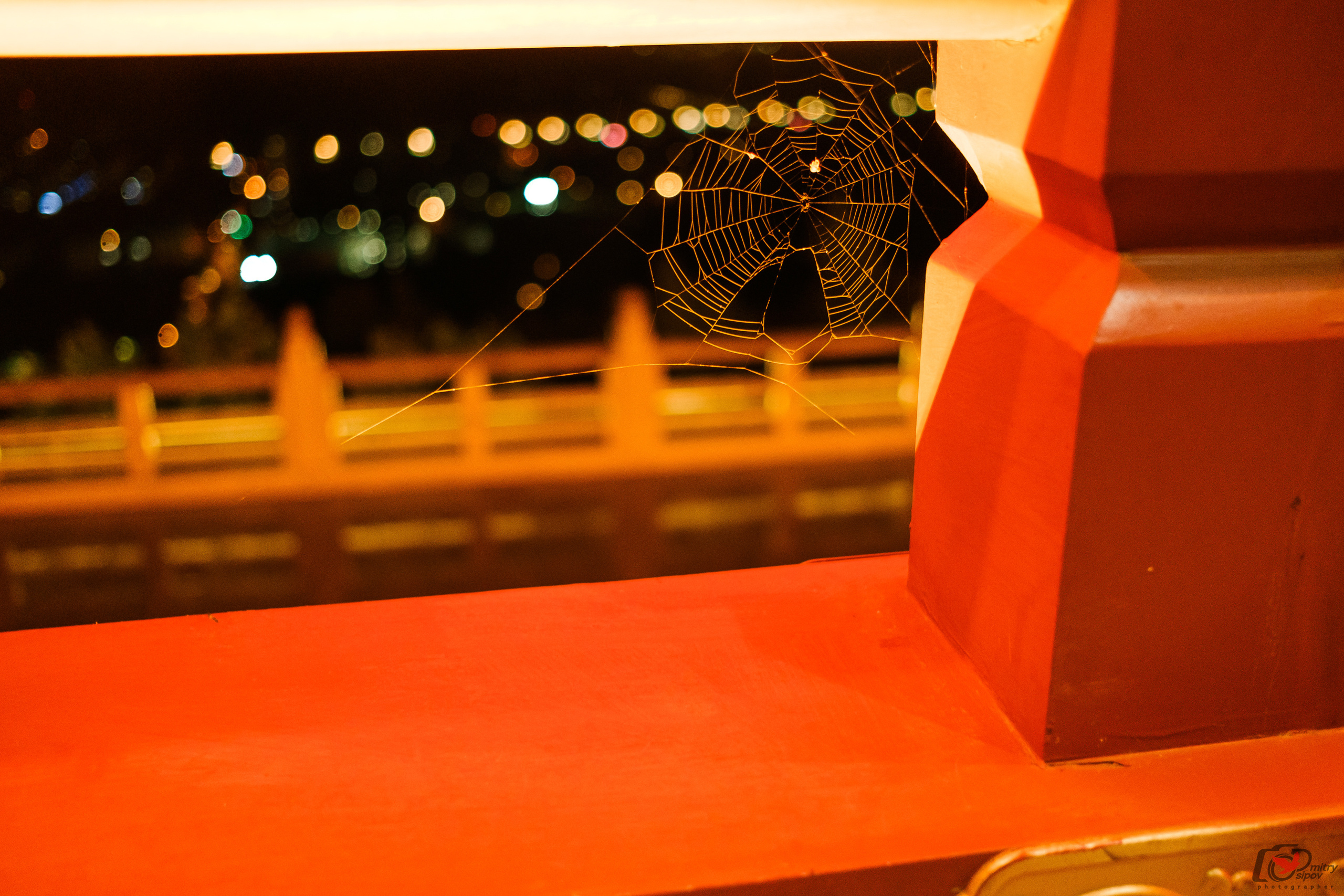 Поездка в Фуюань из Хабаровска. Свадебный фотограф в Хабаровске