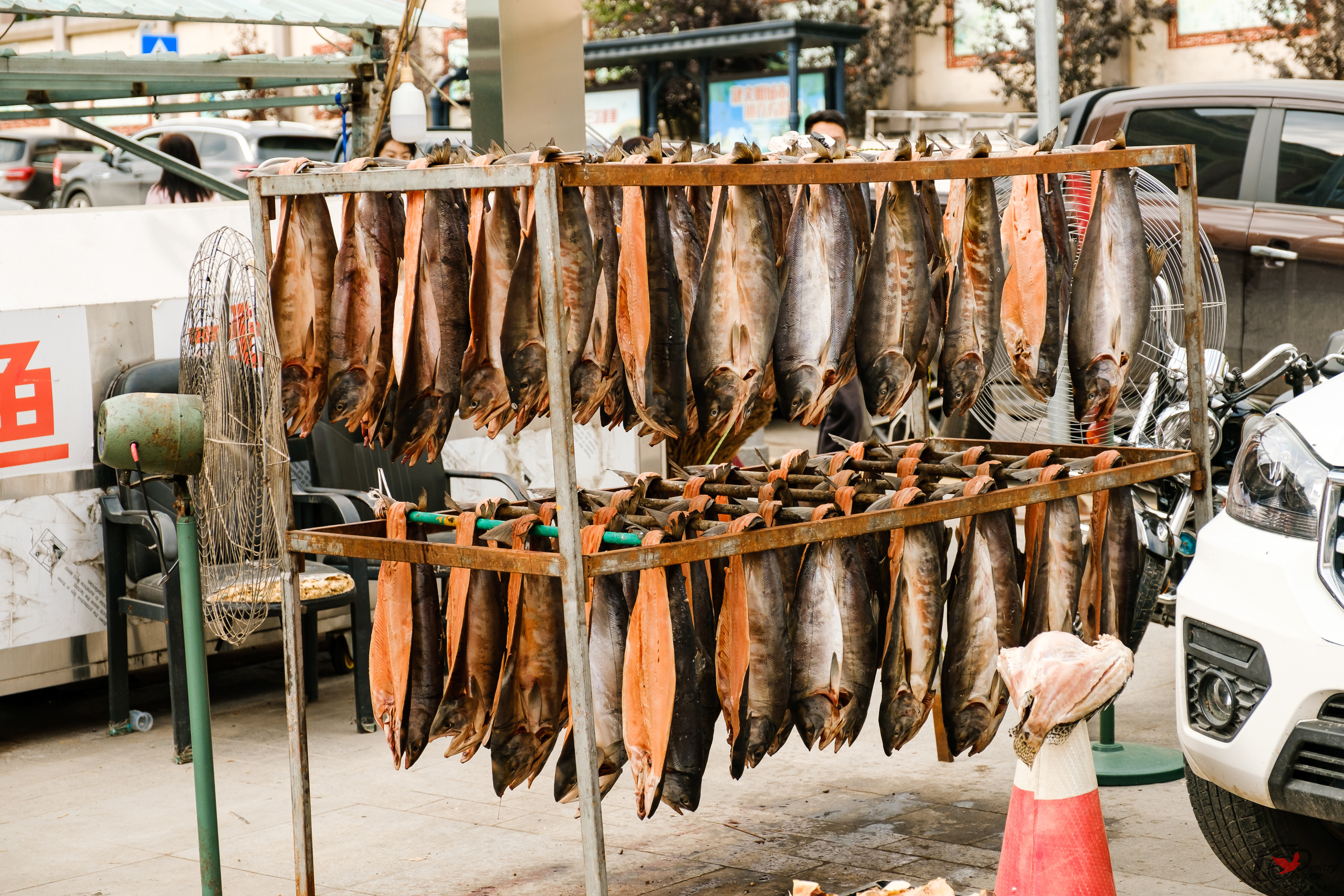 Поездка в Фуюань из Хабаровска. Свадебный фотограф в Хабаровске